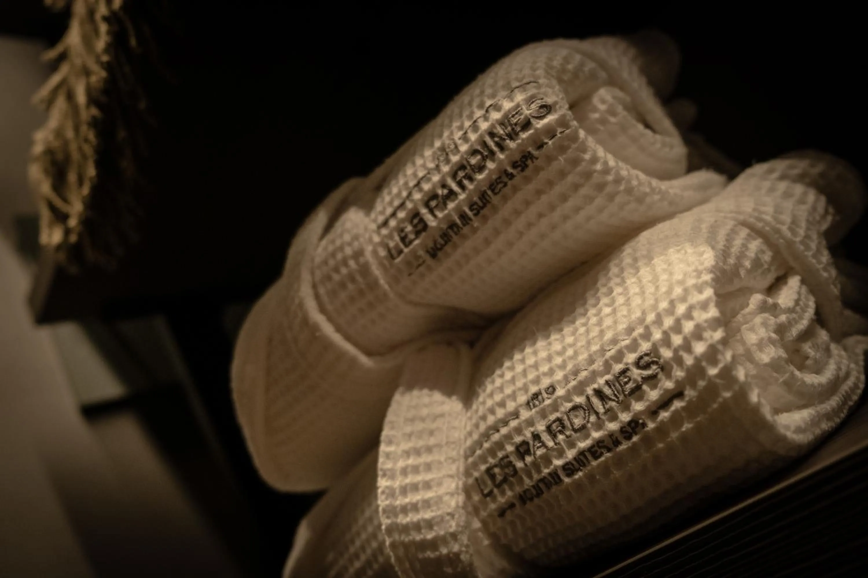 Decorative detail in Les Pardines 1819 Mountain suites & SPA