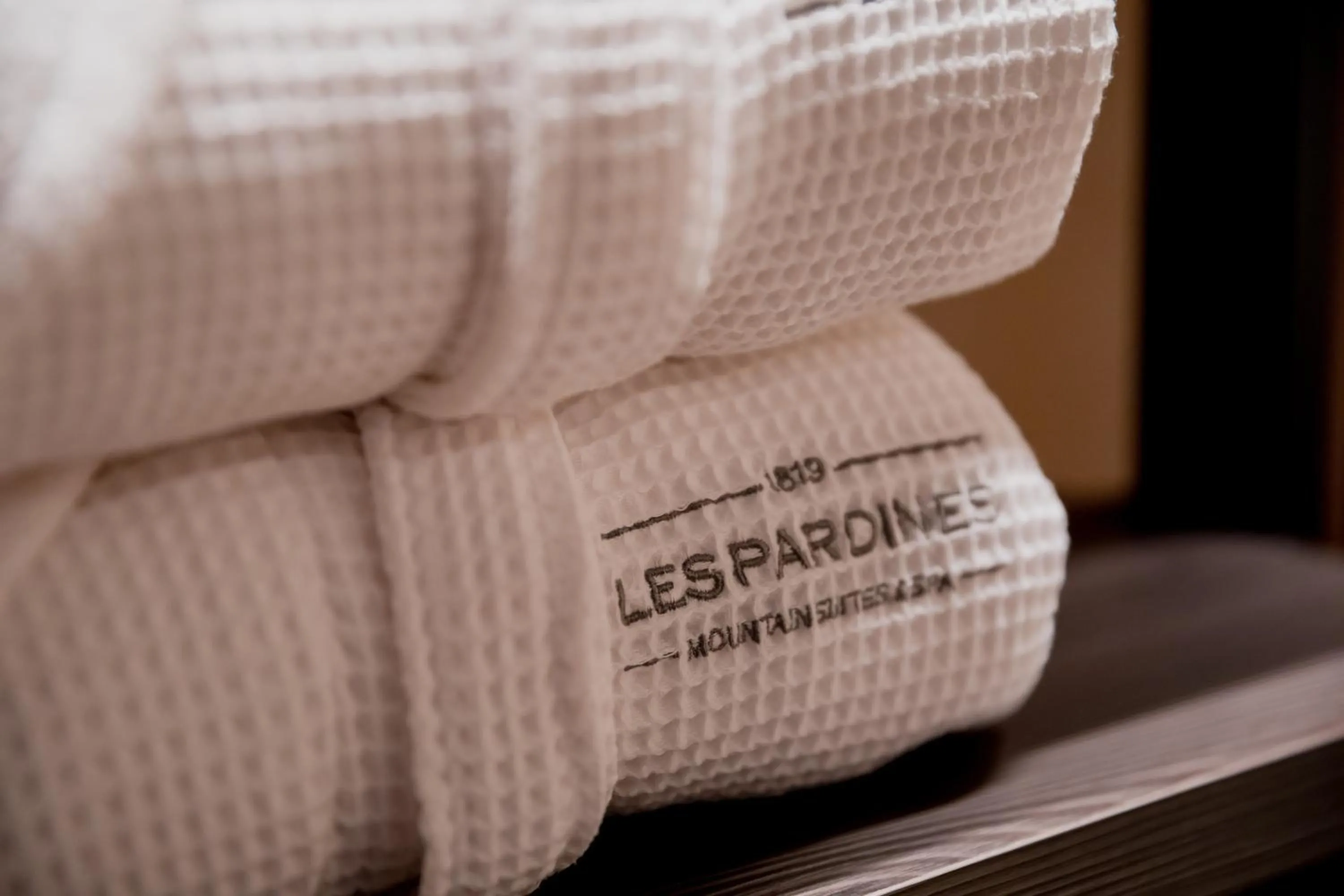 Family Room in Les Pardines 1819 Mountain suites & SPA