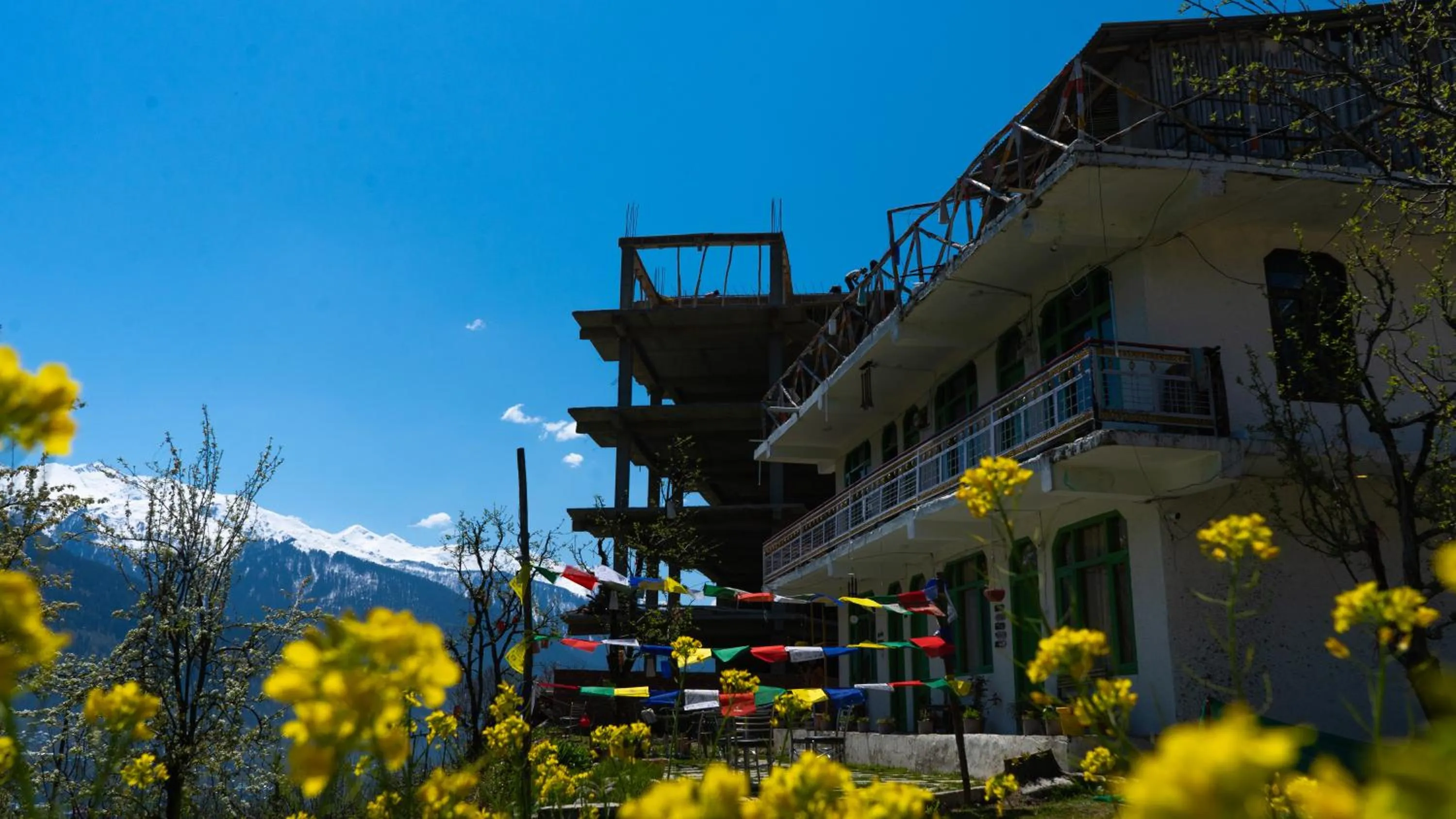Garden in Nomadic Den Manali