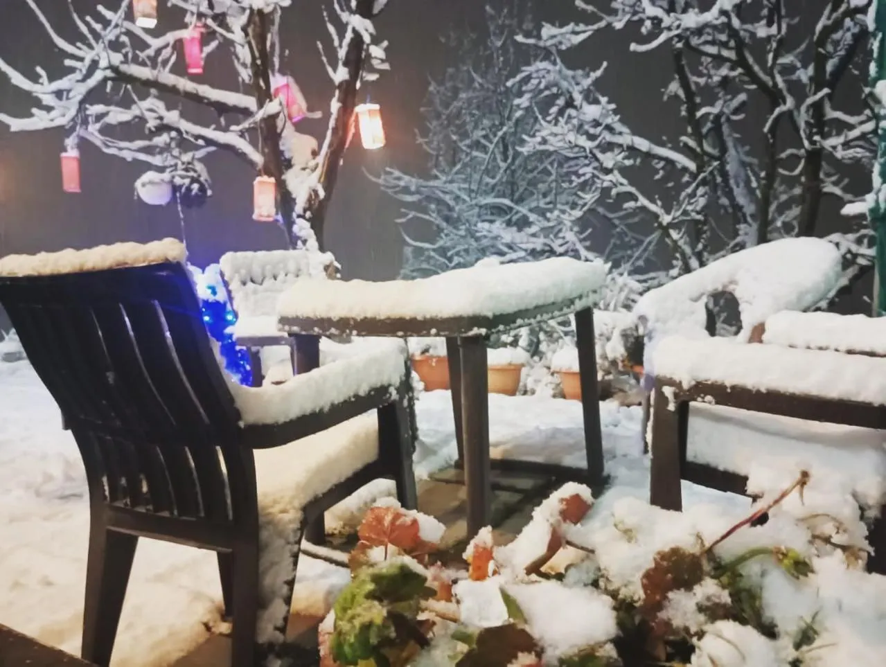 Restaurant/places to eat in Nomadic Den Manali