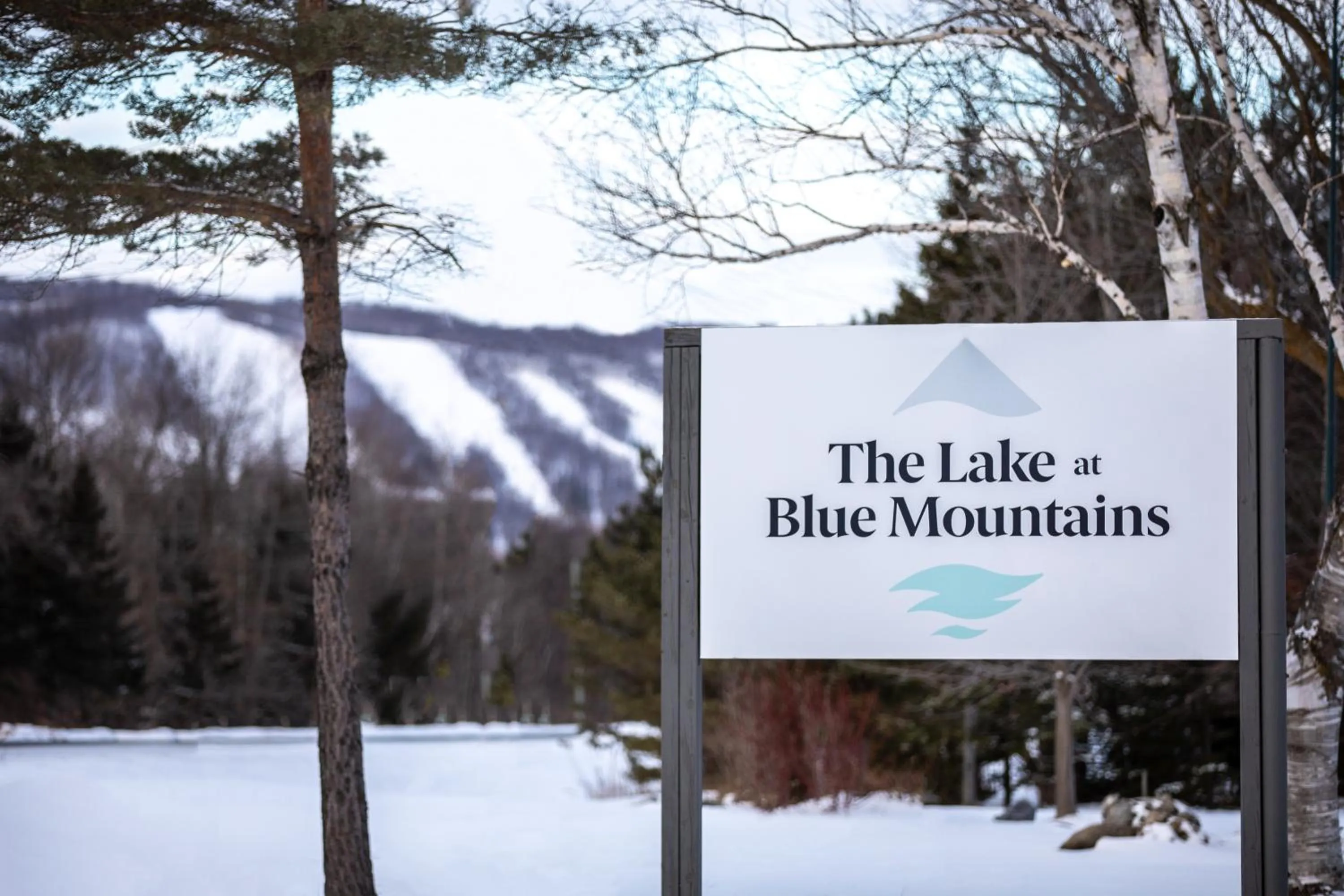 Logo/Certificate/Sign in Boutique Suite #6