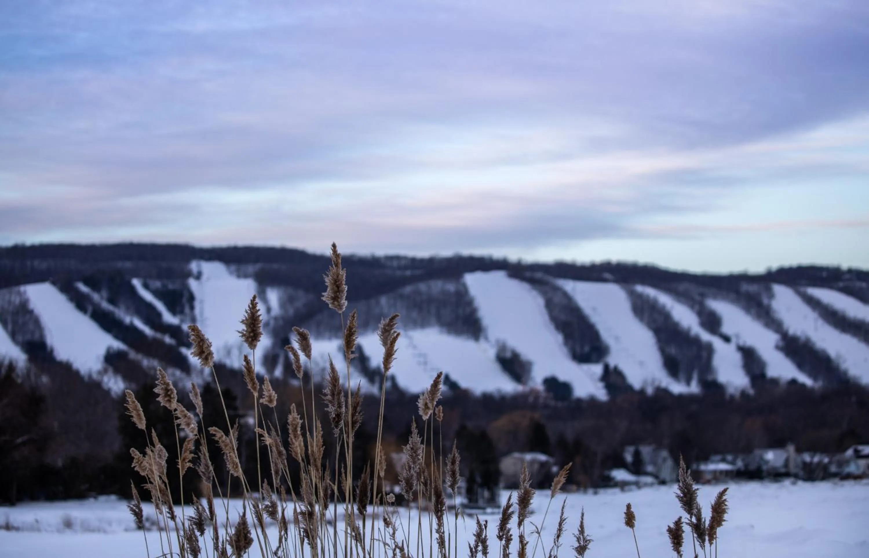 Winter in Boutique Suite #6