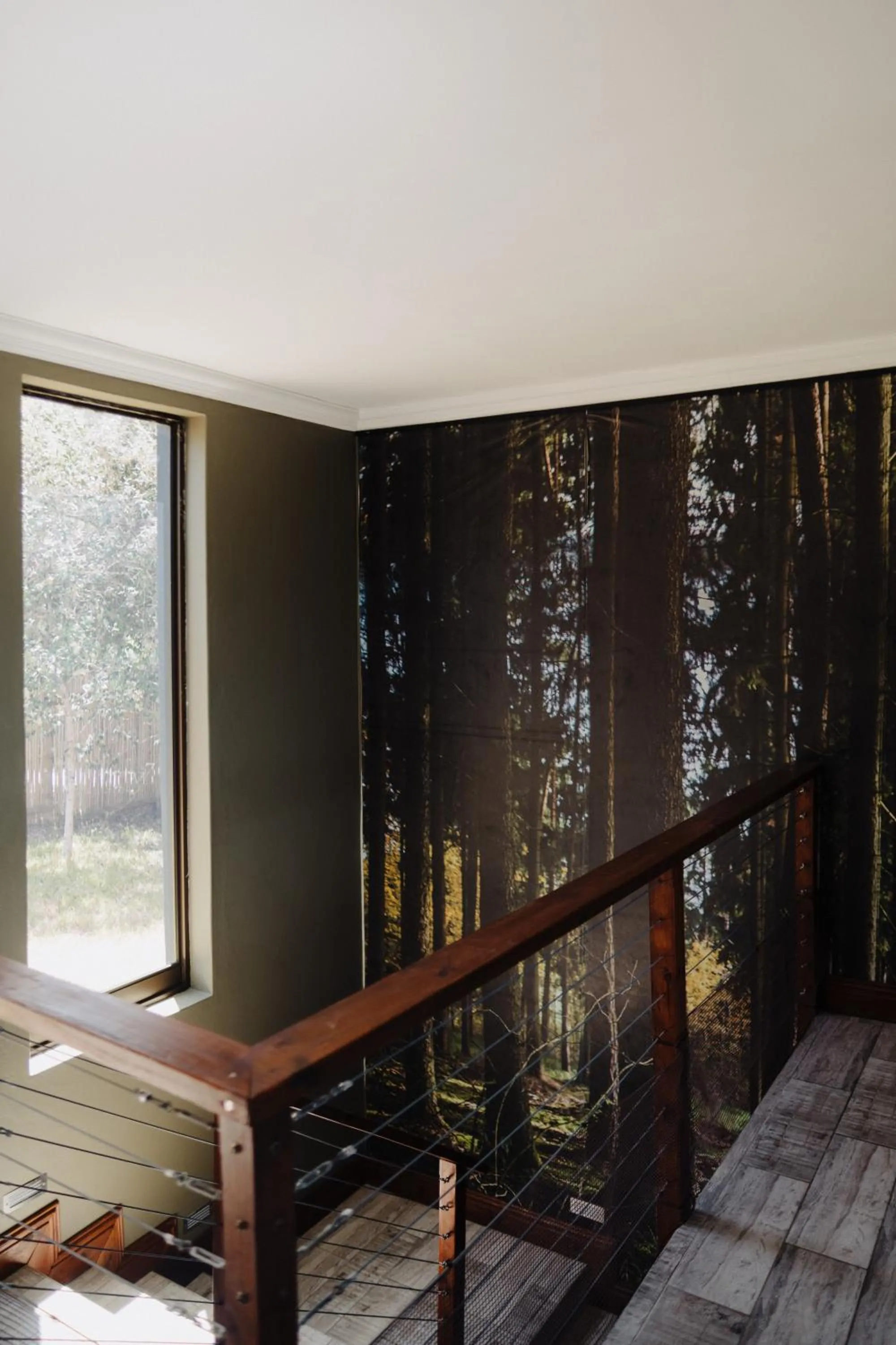 View (from property/room) in Forest Hill Wilderness