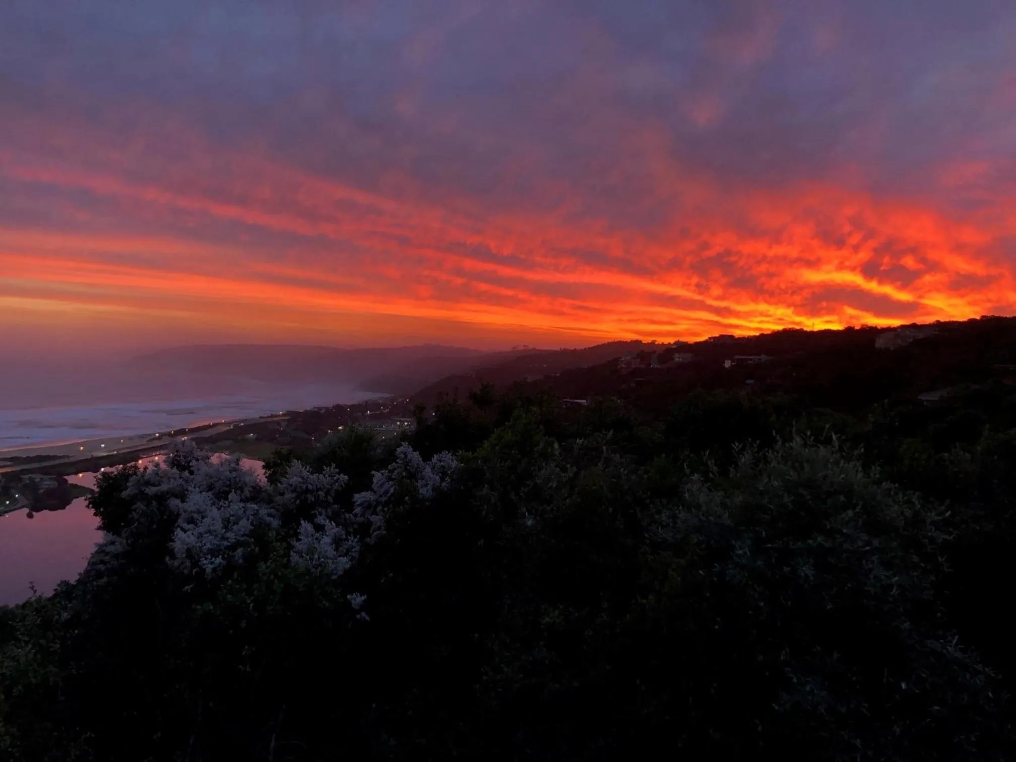 Natural landscape in Forest Hill Wilderness