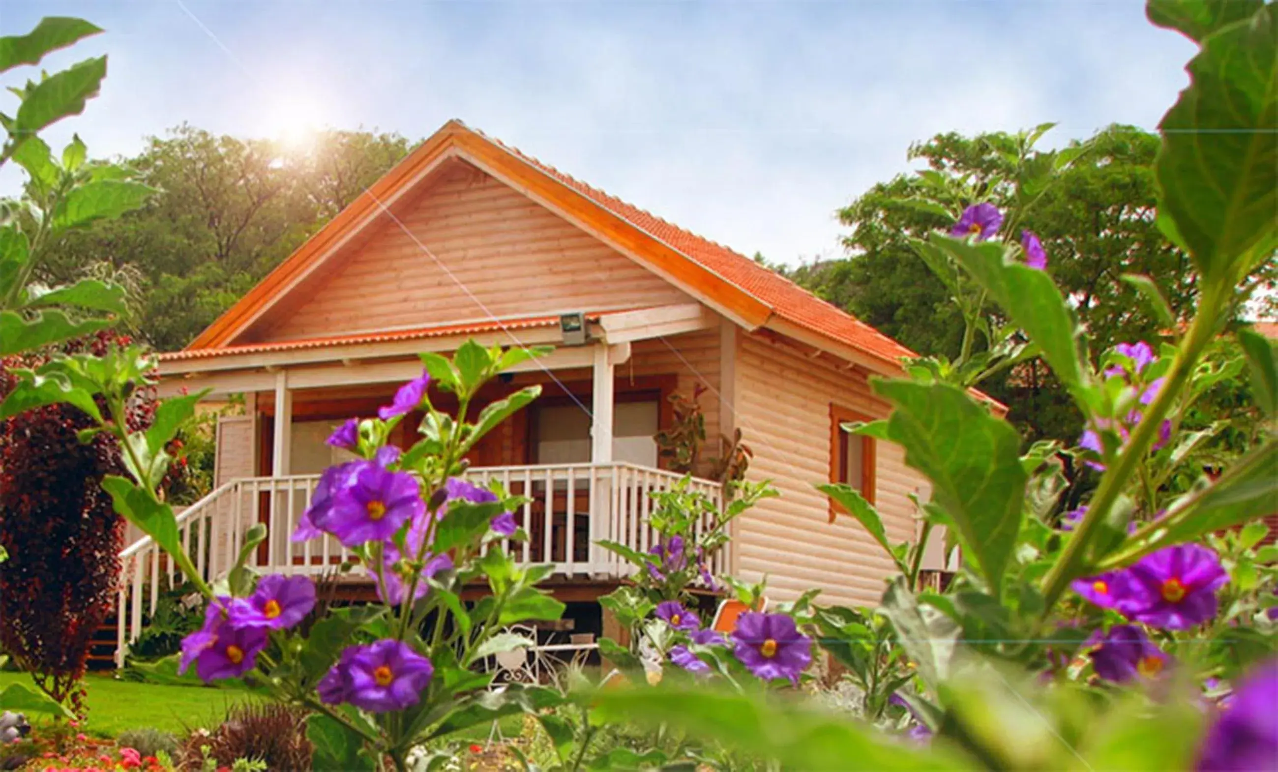 The Beautiful Cabins The Beautiful Cabins
