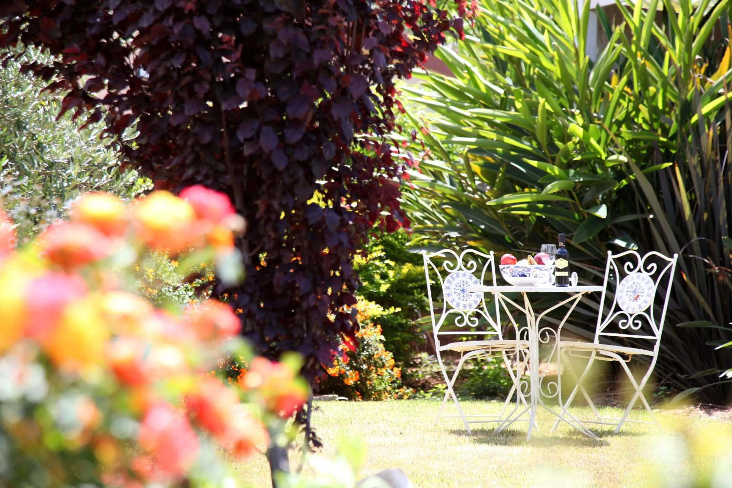 Garden in The Beautiful Cabins