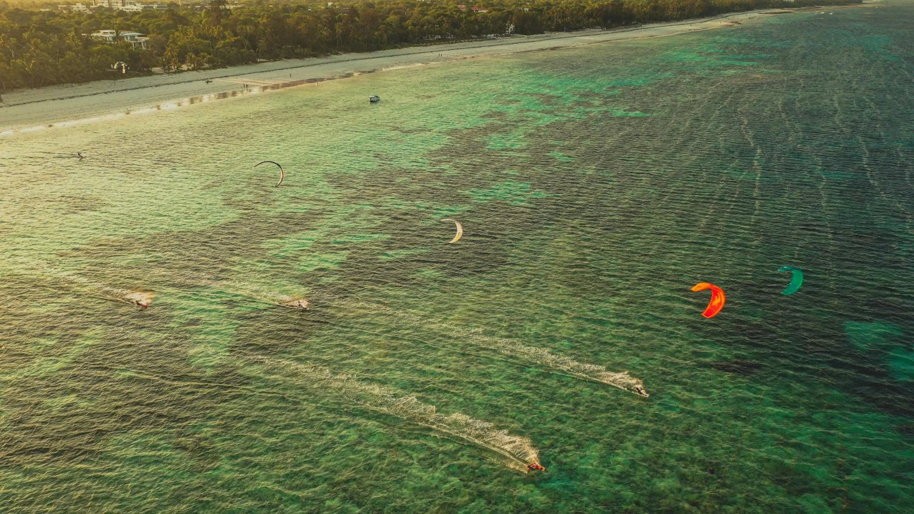 Beach in Flamboyant Diani Beach