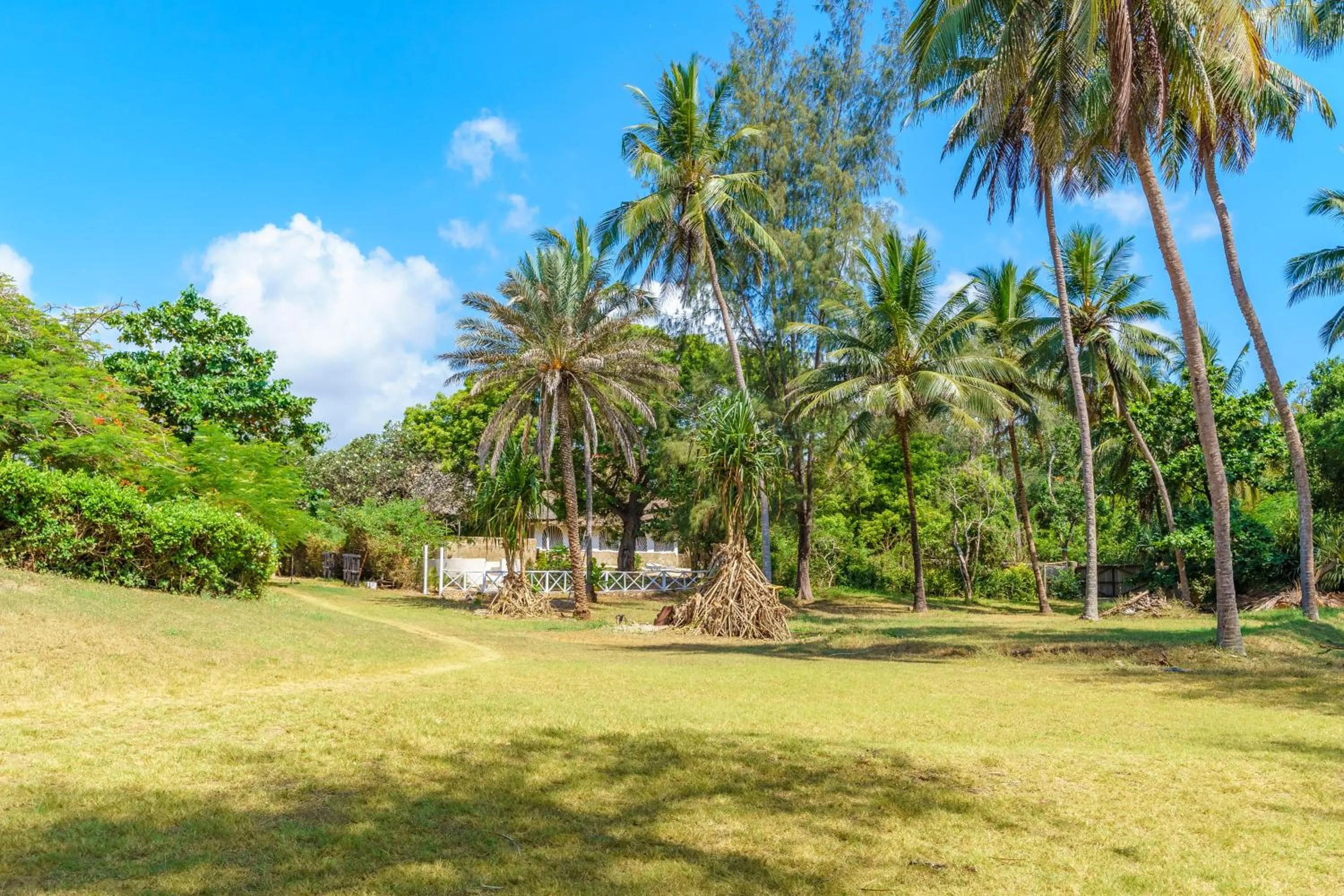 Flamboyant Diani Beach