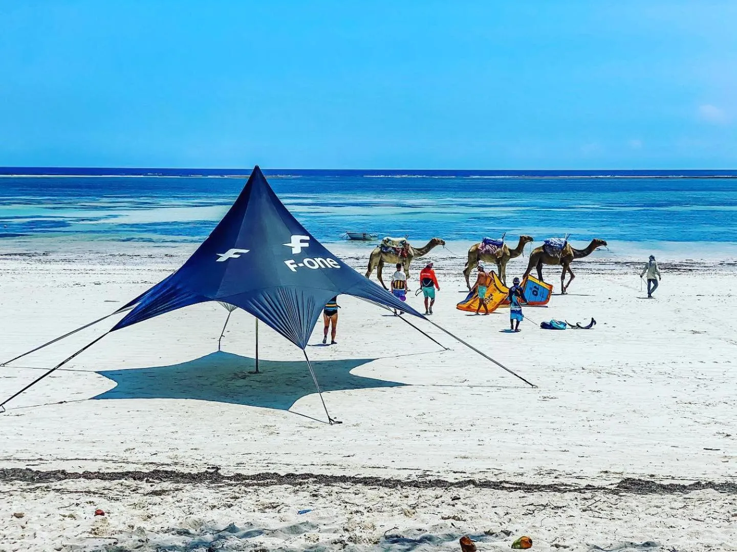 Beach in Flamboyant Diani Beach