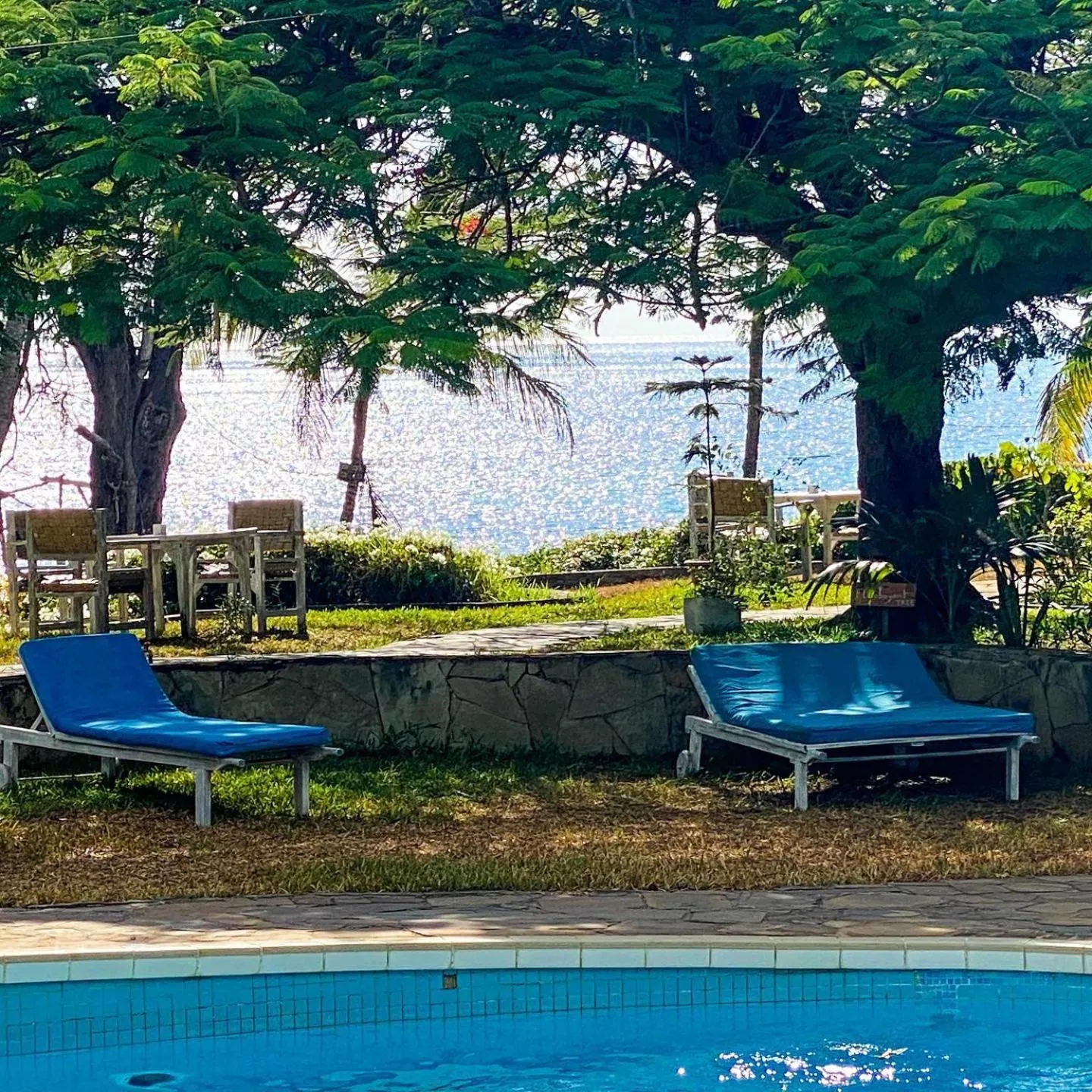 Garden in Flamboyant Diani Beach