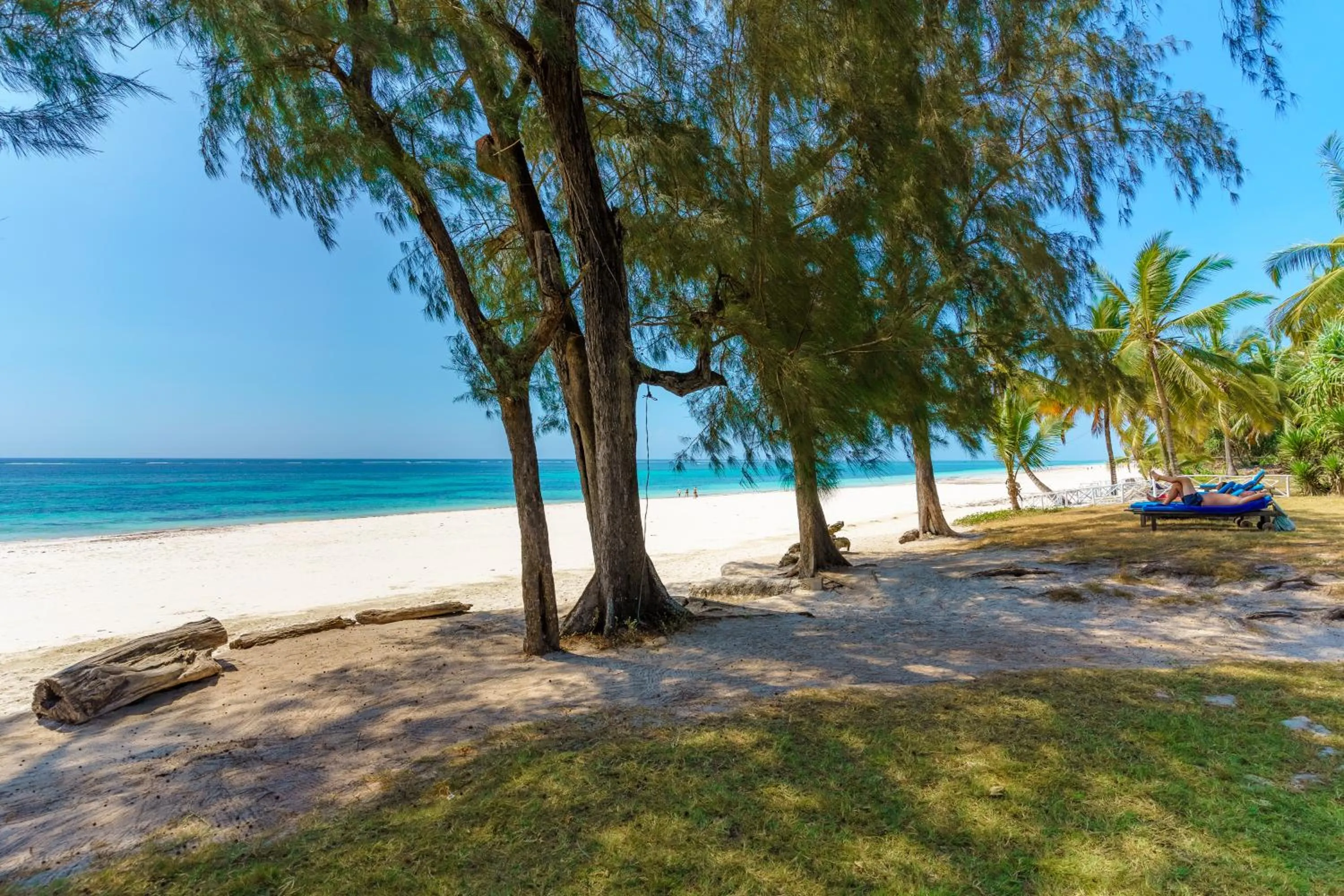 Flamboyant Diani Beach