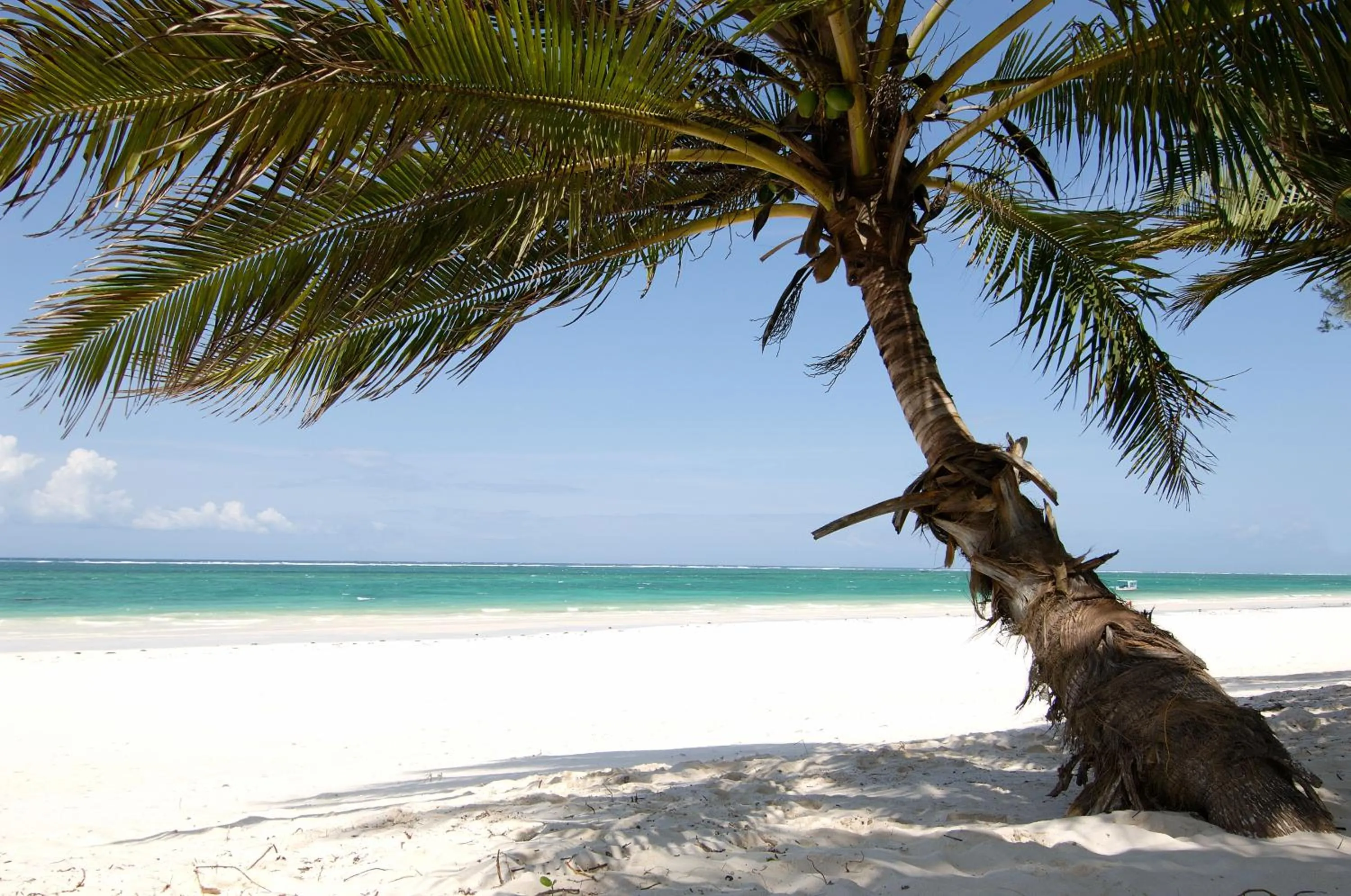 Flamboyant Diani Beach