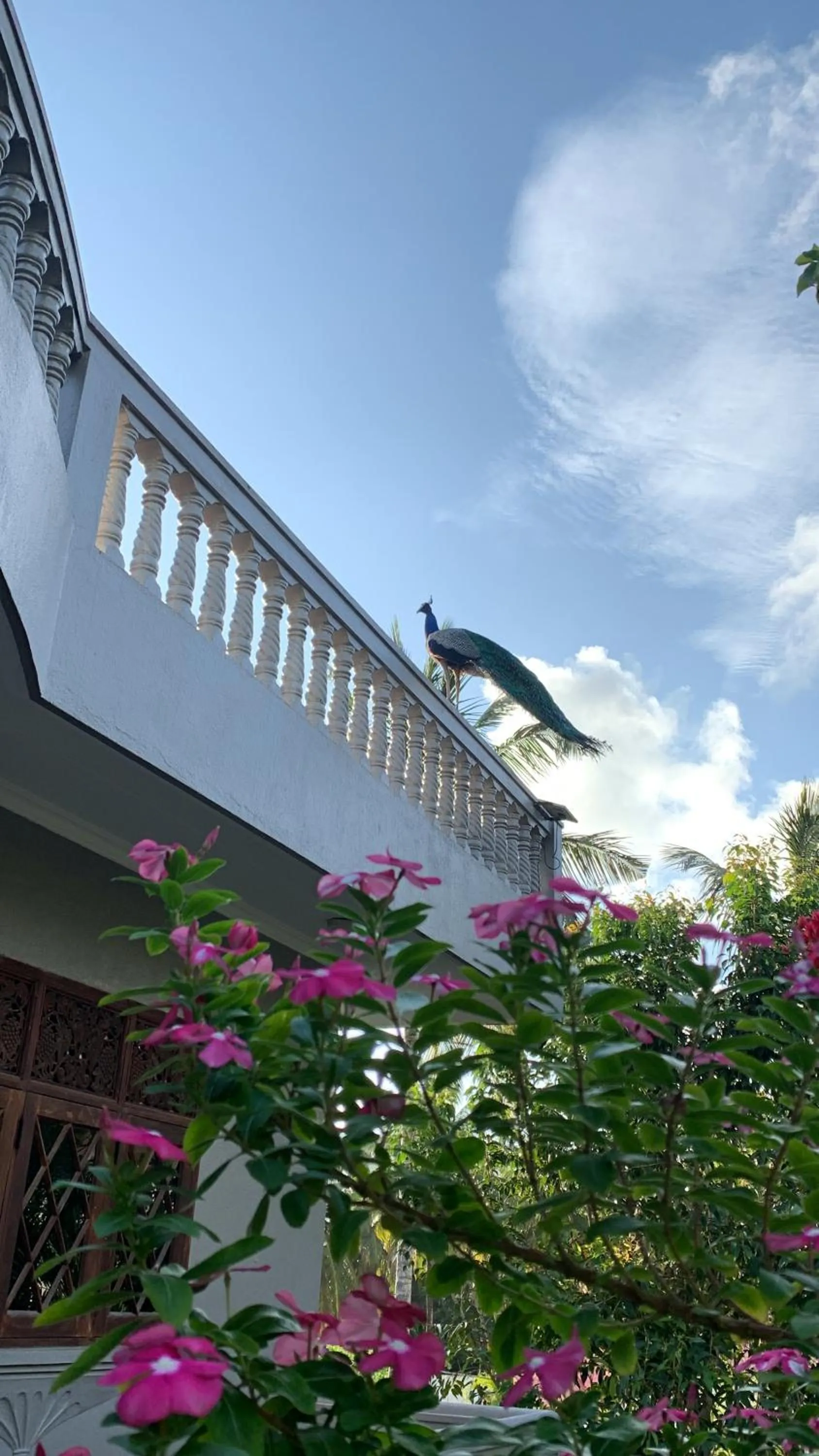 Balcony/Terrace in Sagarika Beach Hotel