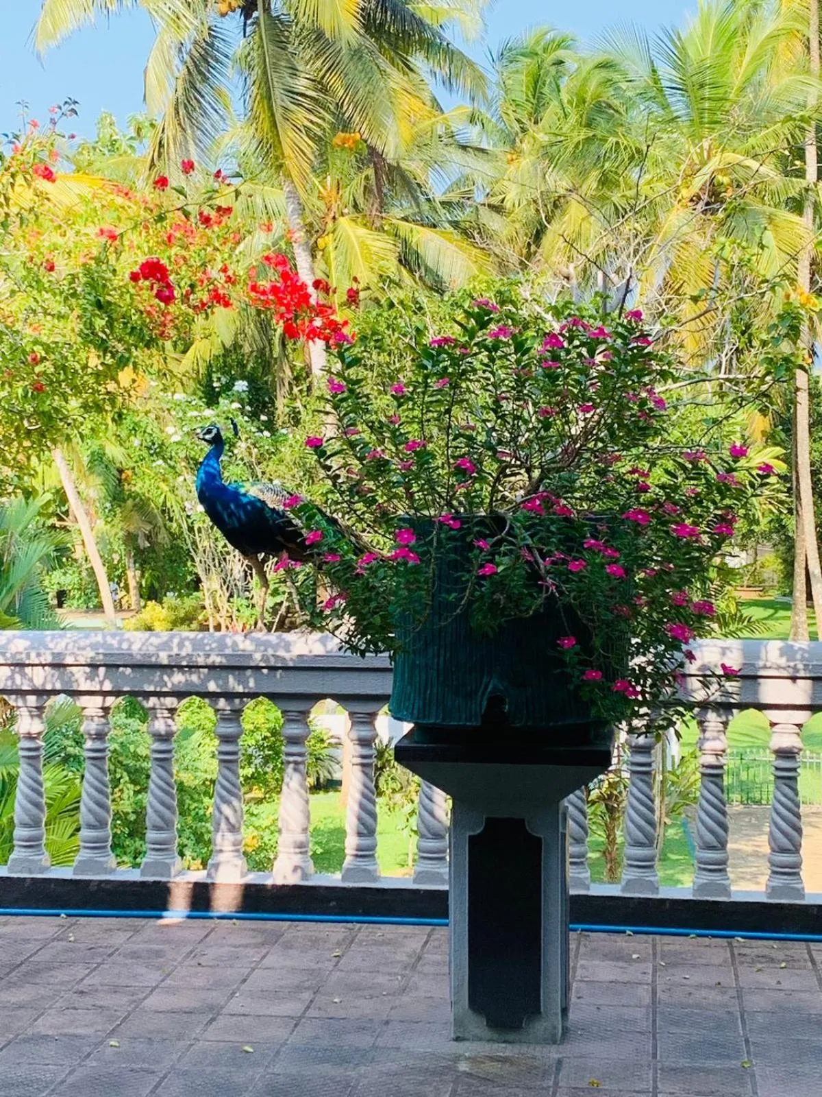View (from property/room) in Sagarika Beach Hotel