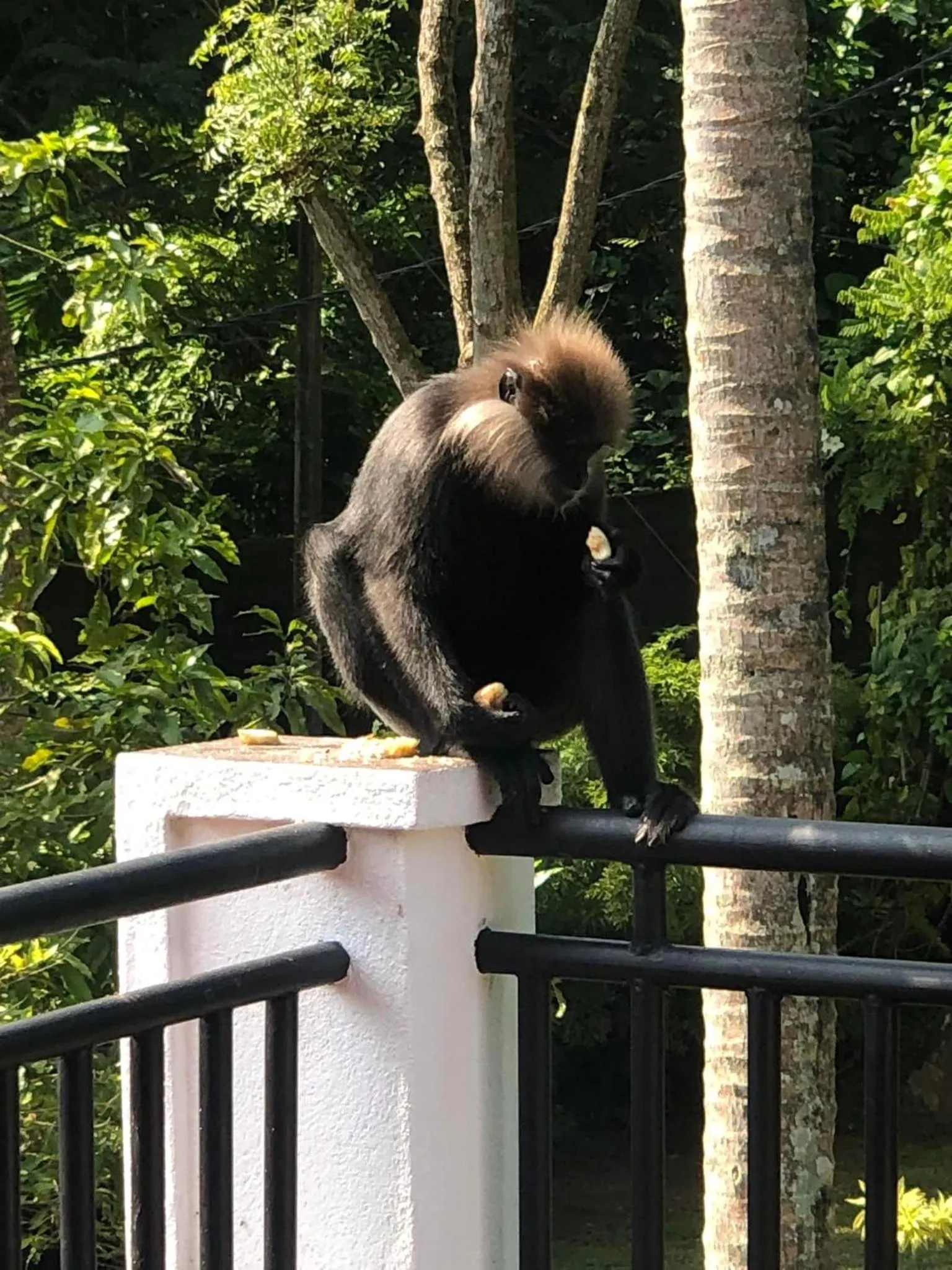 Balcony/Terrace in Sagarika Beach Hotel