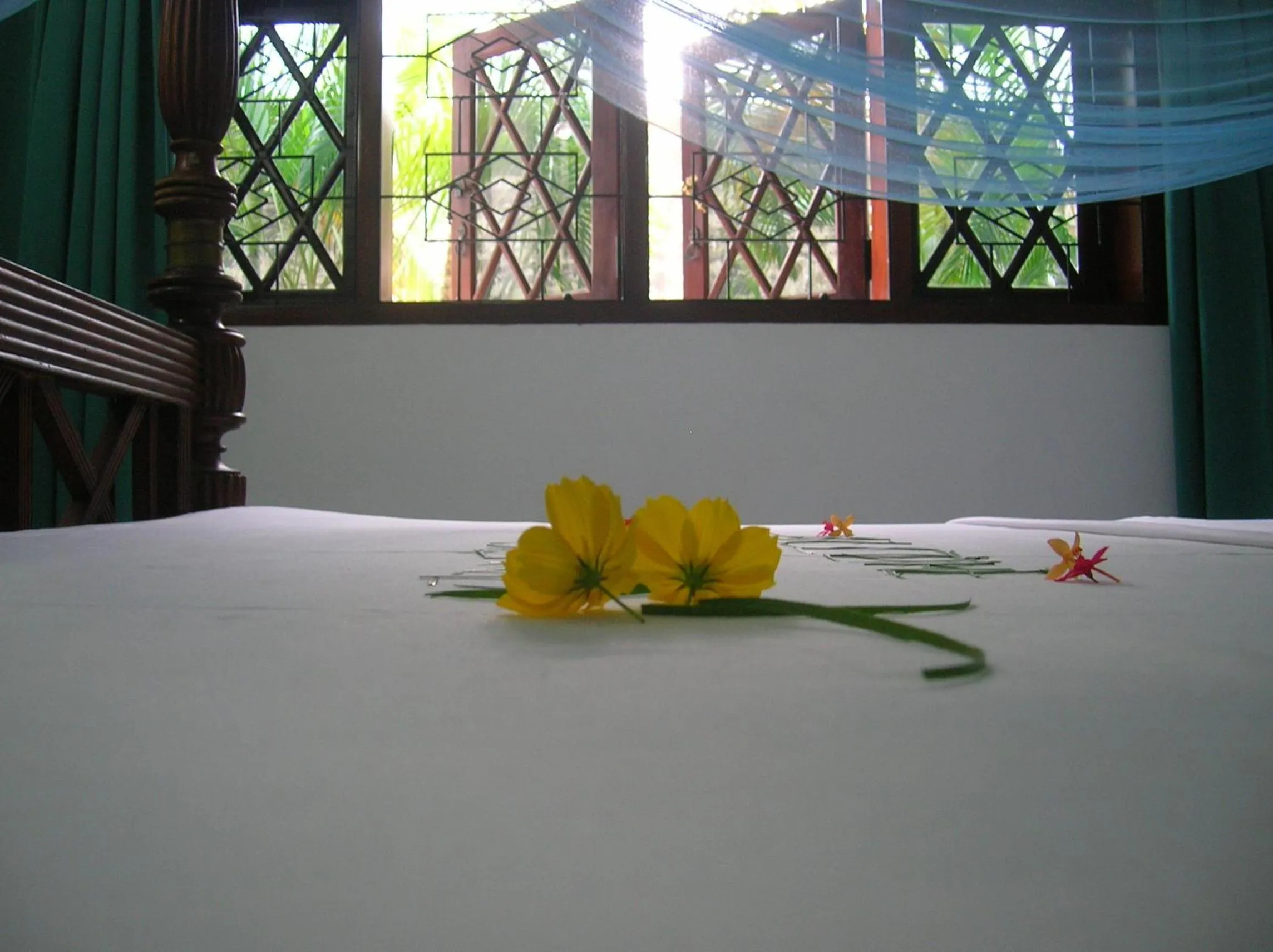 Decorative detail, Bed in Sagarika Beach Hotel