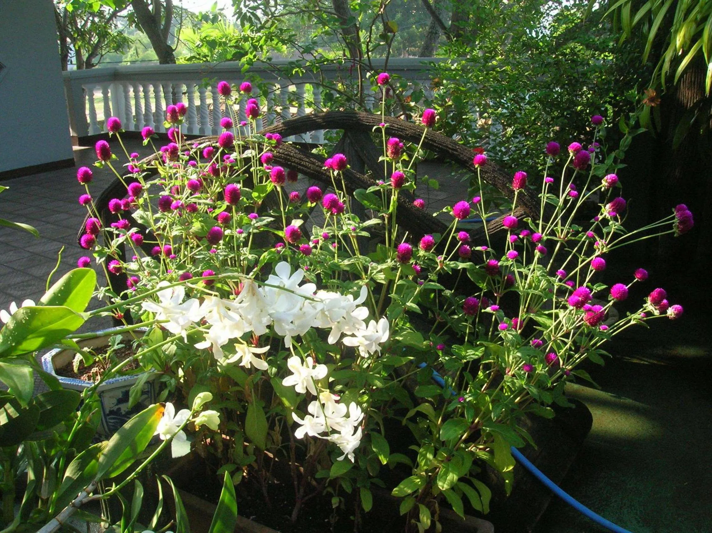 Decorative detail in Sagarika Beach Hotel
