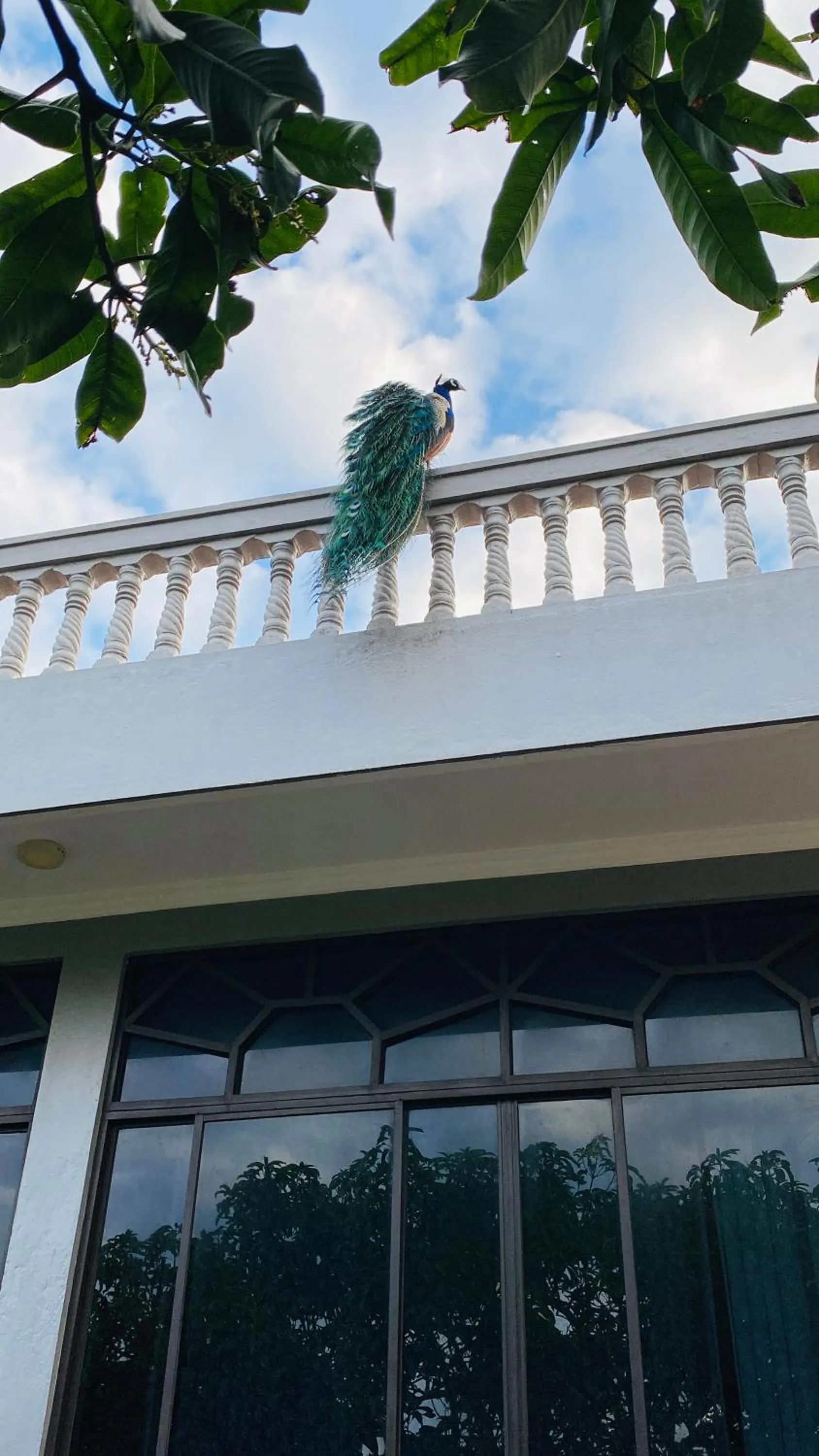 Balcony/Terrace in Sagarika Beach Hotel