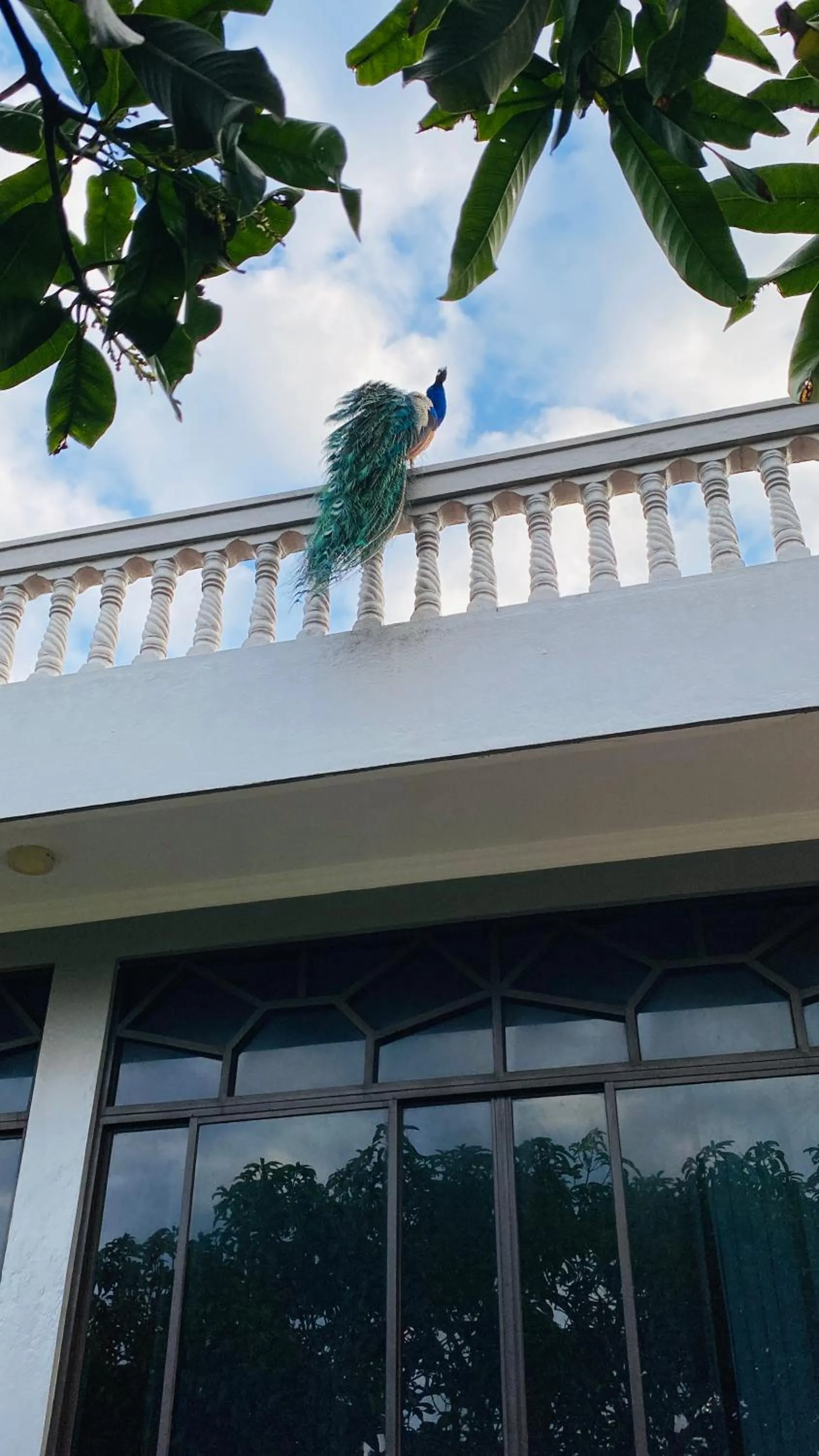Balcony/Terrace in Sagarika Beach Hotel