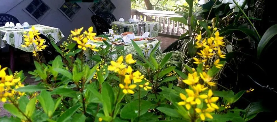 English/Irish breakfast in Sagarika Beach Hotel