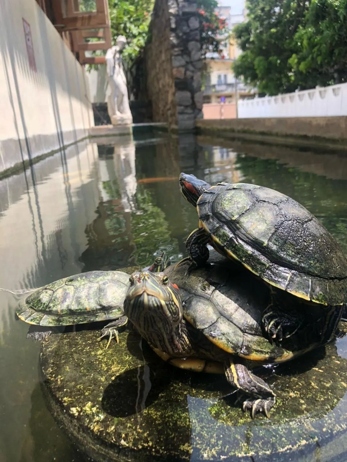 Lafala Hotel & Service Apartment