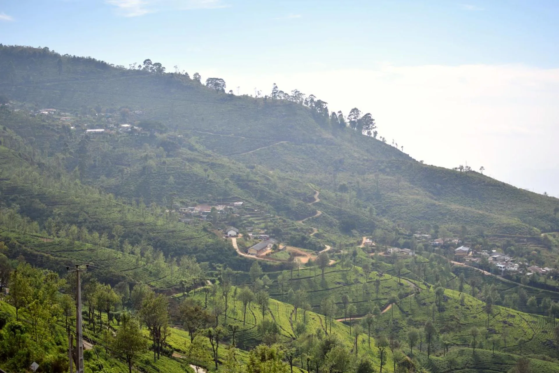 The Mist Holiday Bungalow