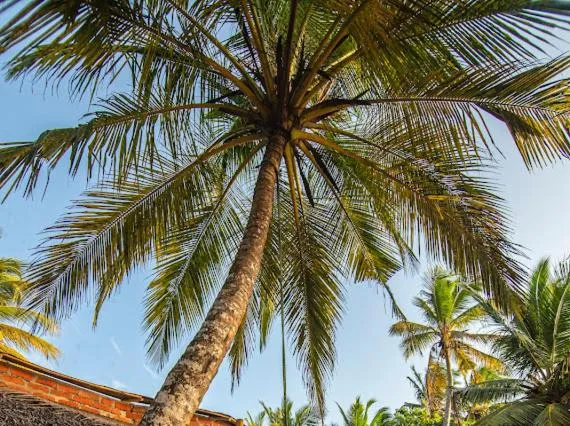 Frangipani Beach Villa