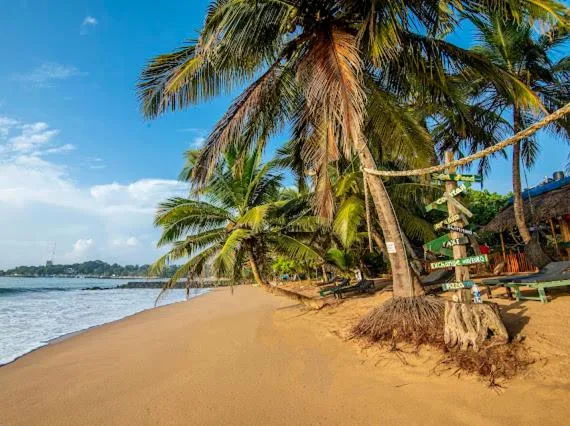 Beach in Frangipani Beach Villa