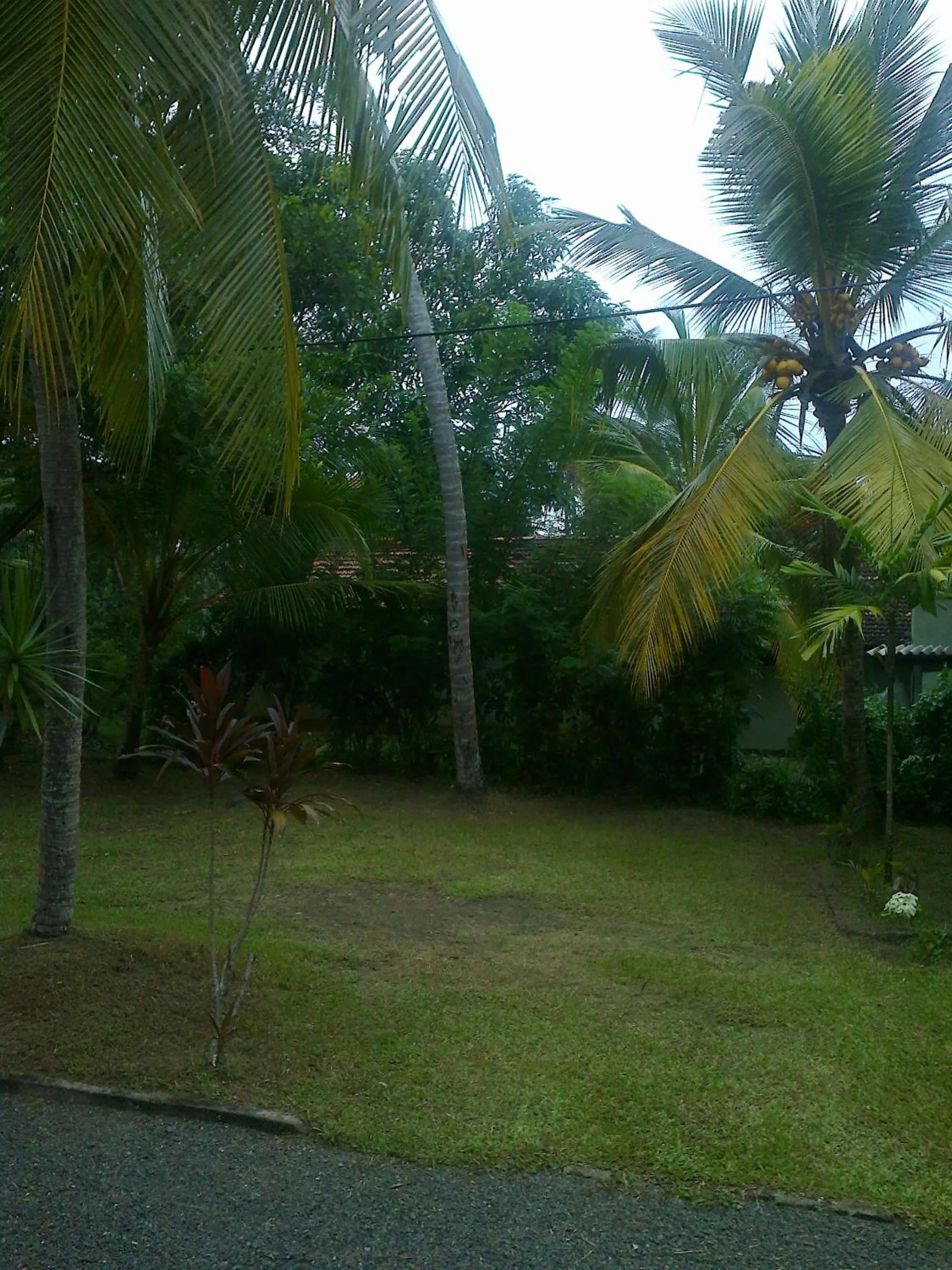 Garden in Rohan Villa