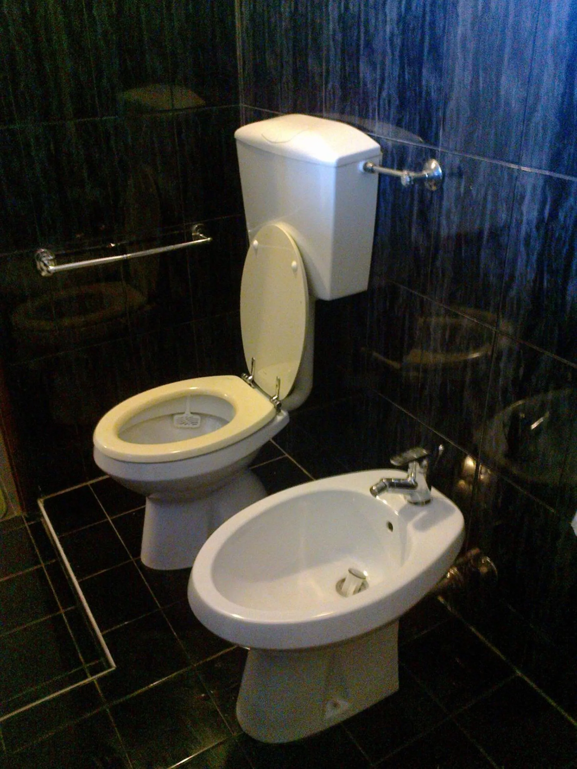 Toilet in Rohan Villa