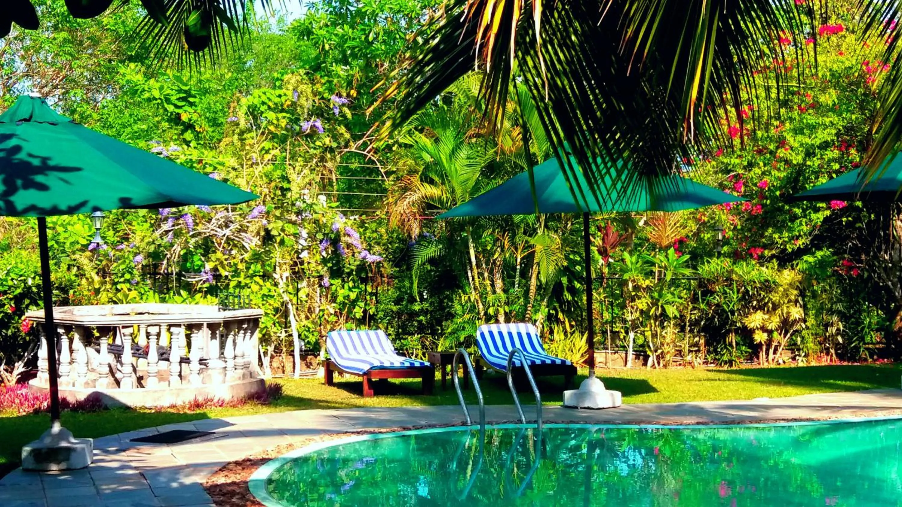 Garden in Asian Jewel Boutique Hotel