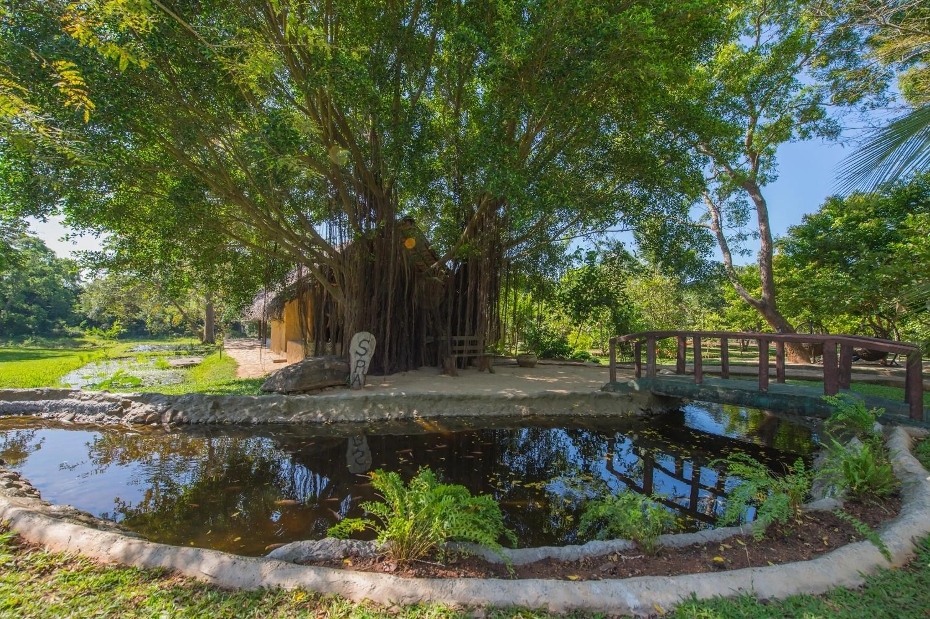 Natural landscape in Kalu's Hideaway Udawalawe