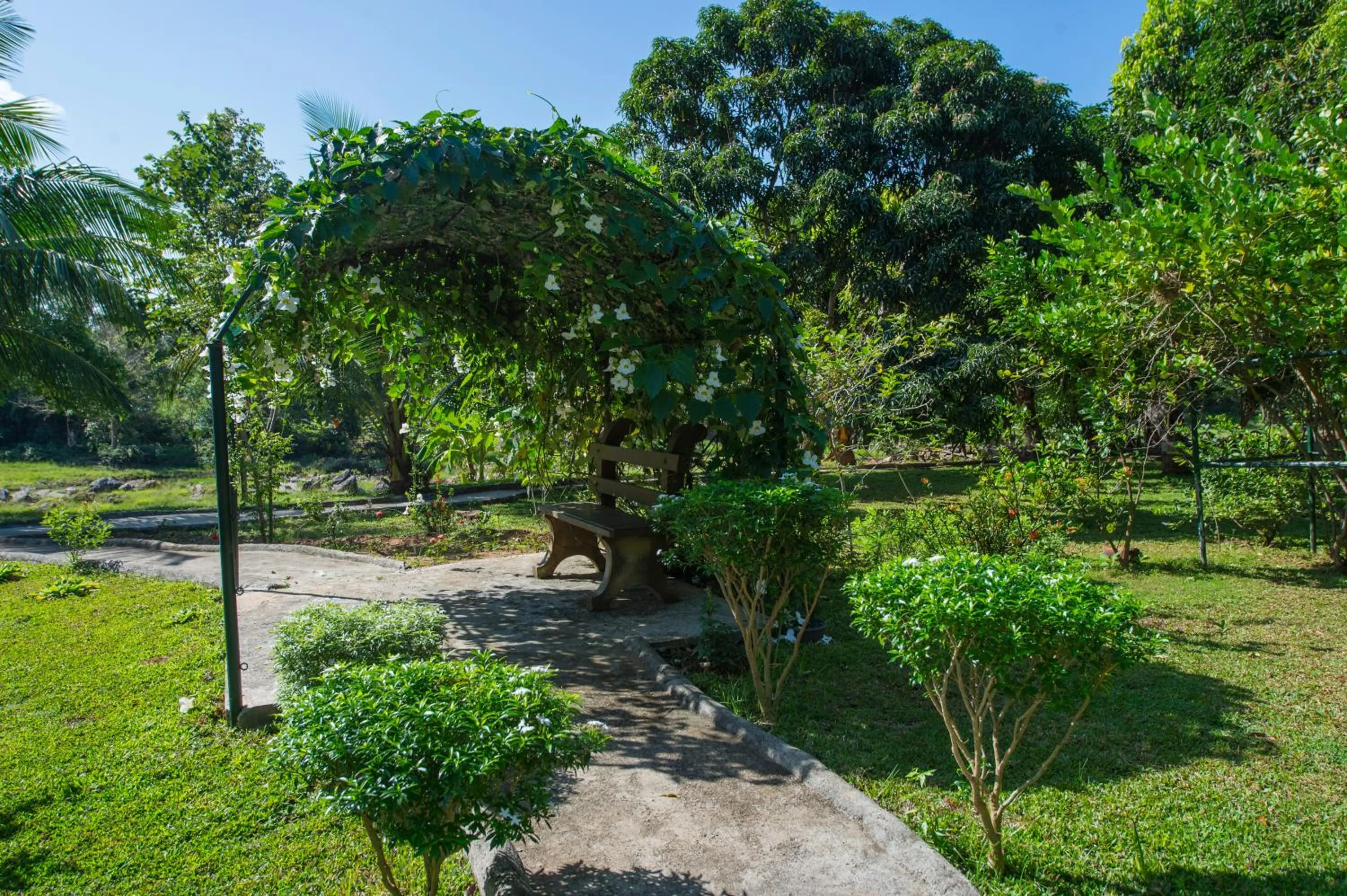 Natural landscape in Kalu's Hideaway Udawalawe