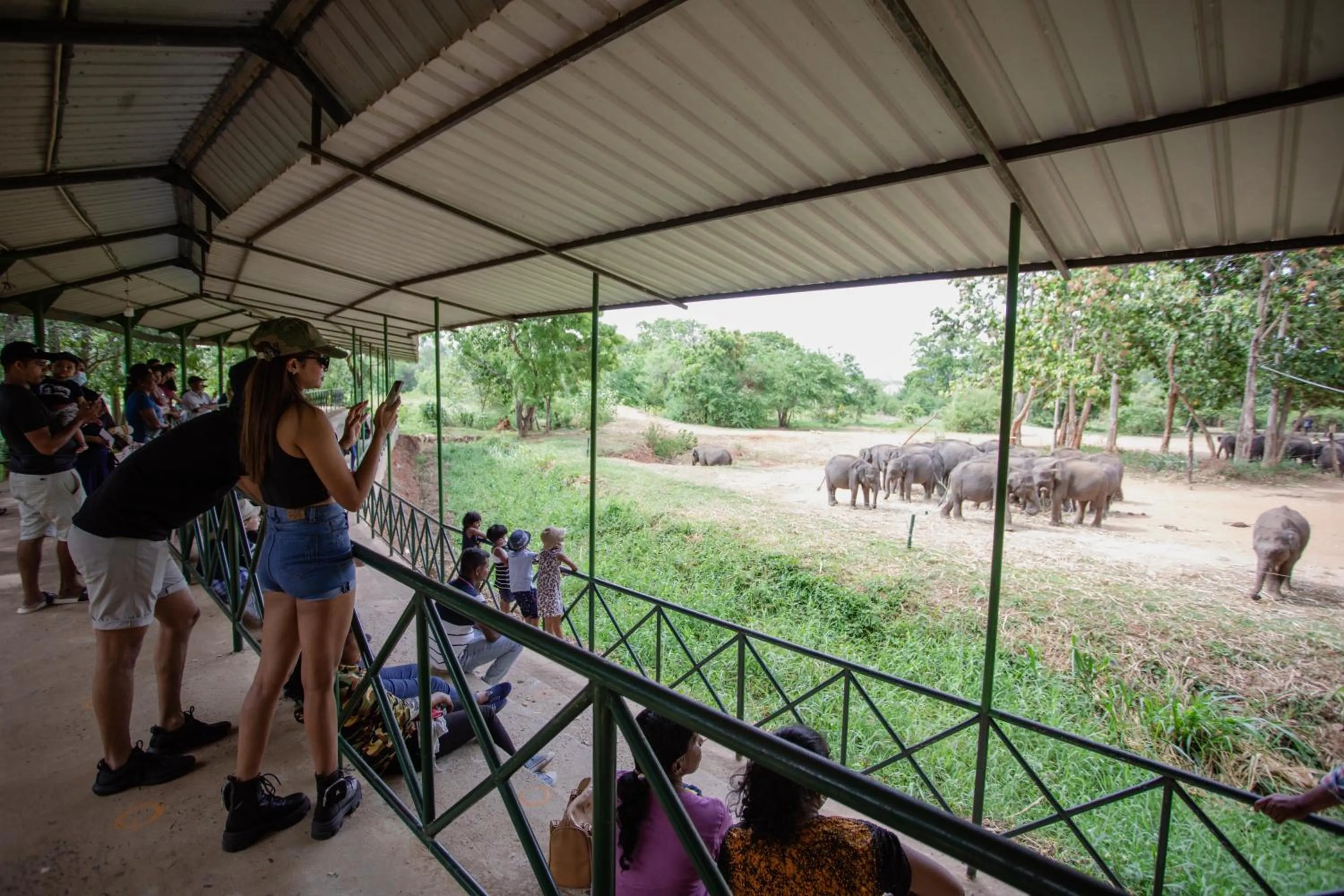 People in Kalu's Hideaway Udawalawe