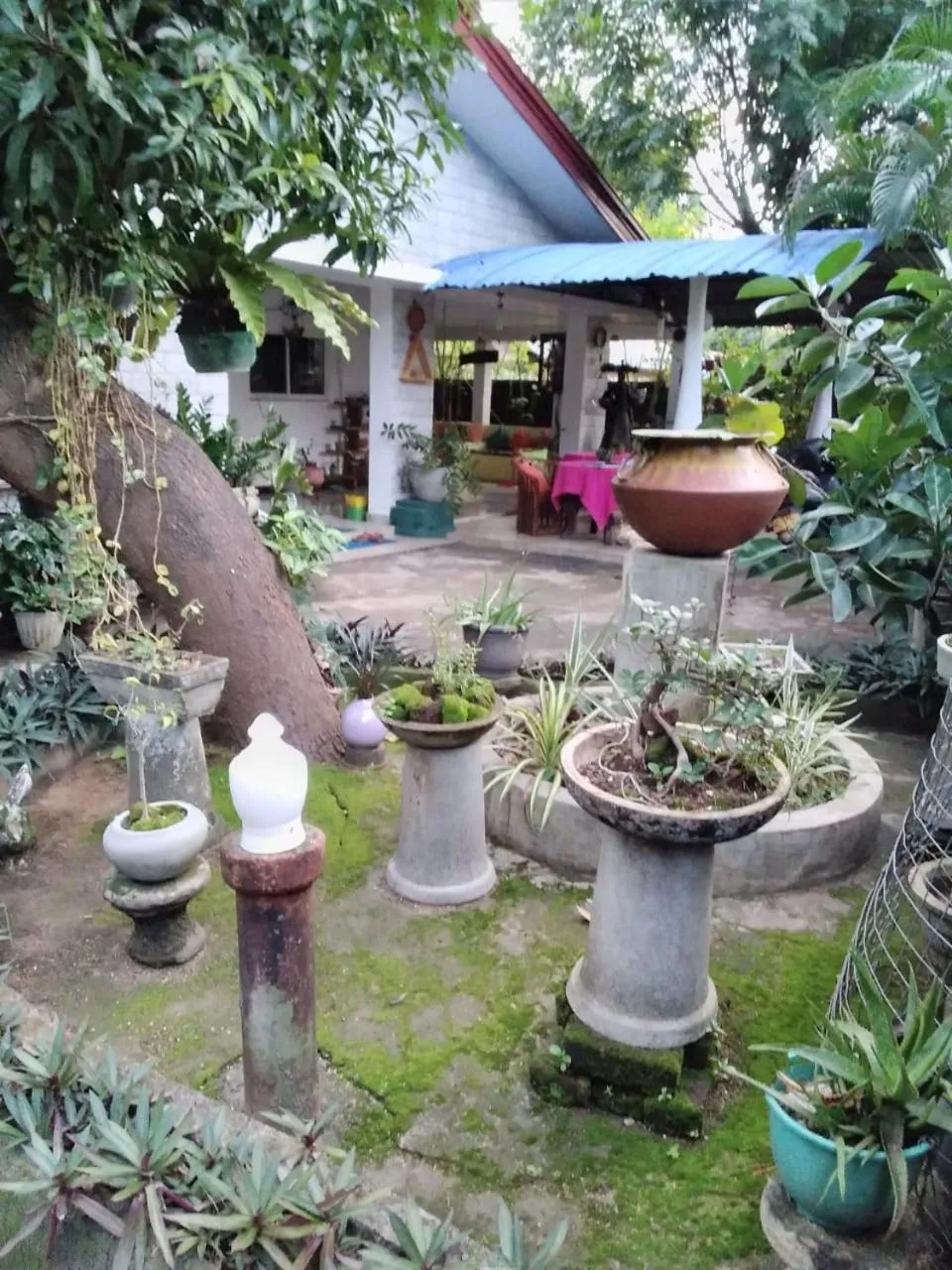 Rock Cascade Tourist Home & Cookery School