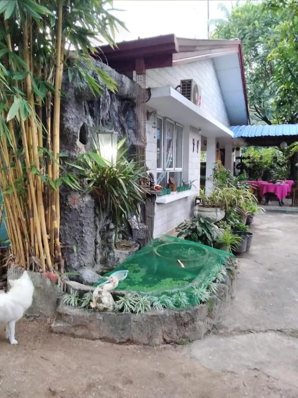 Rock Cascade Tourist Home & Cookery School