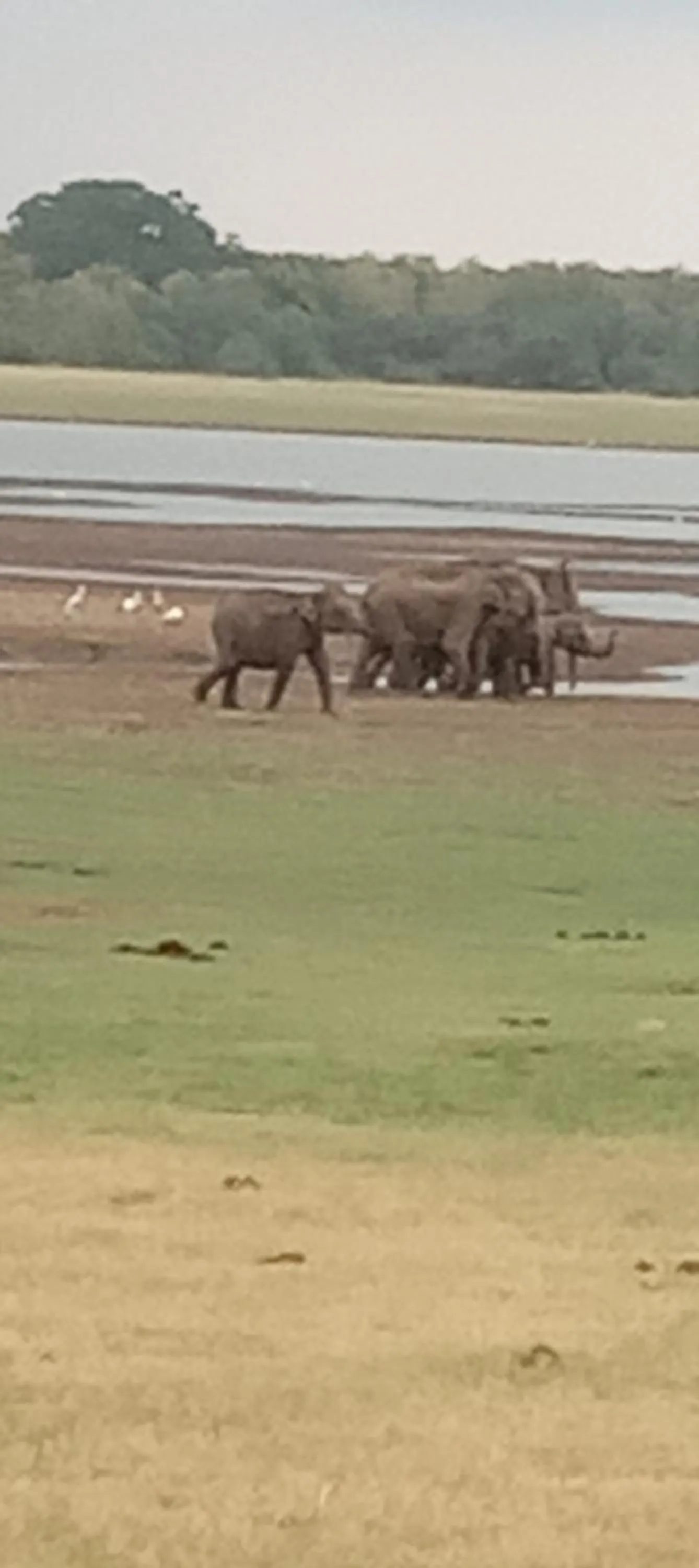 Rock Cascade Tourist Home & Cookery School