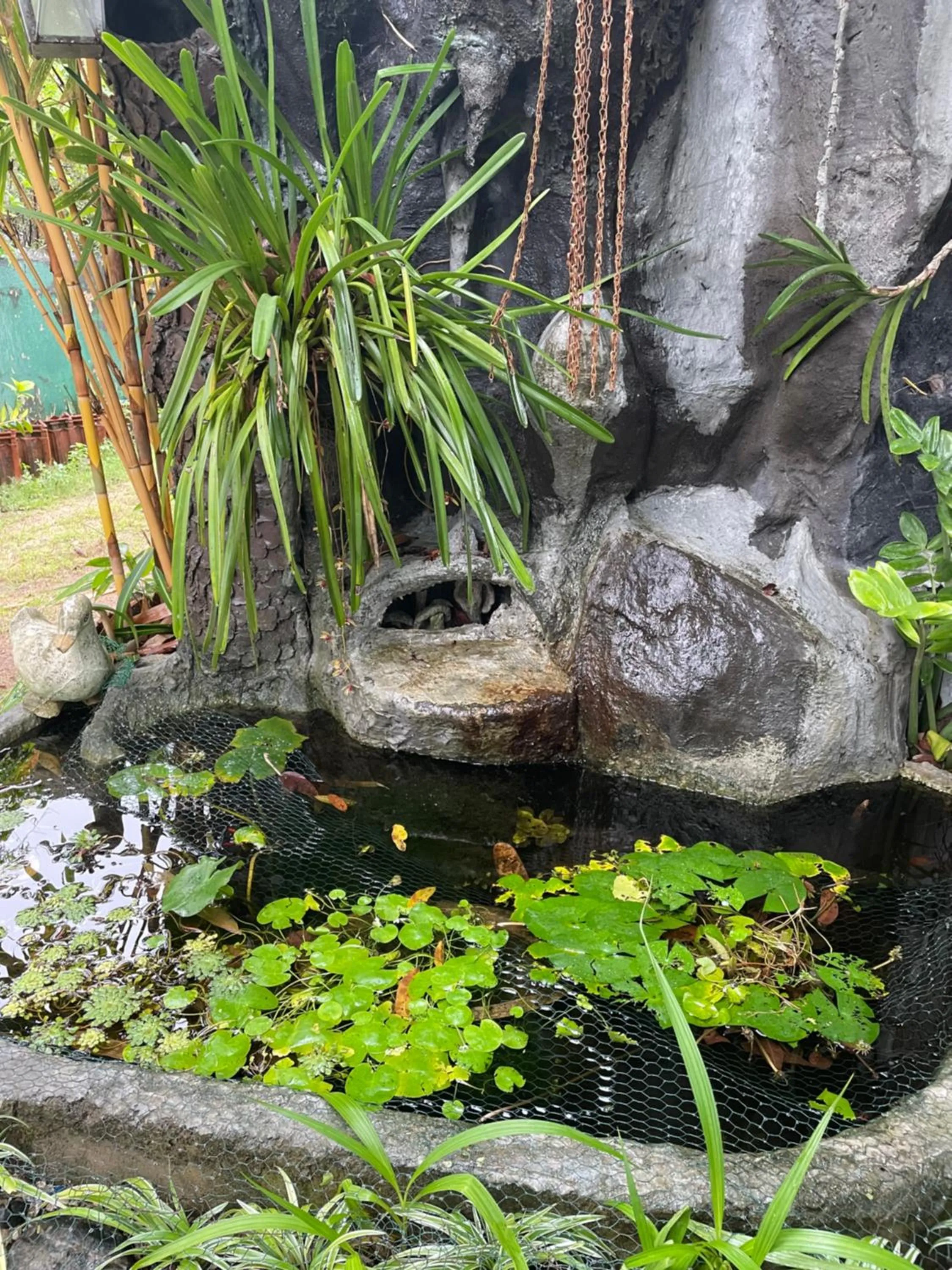 Rock Cascade Tourist Home & Cookery School