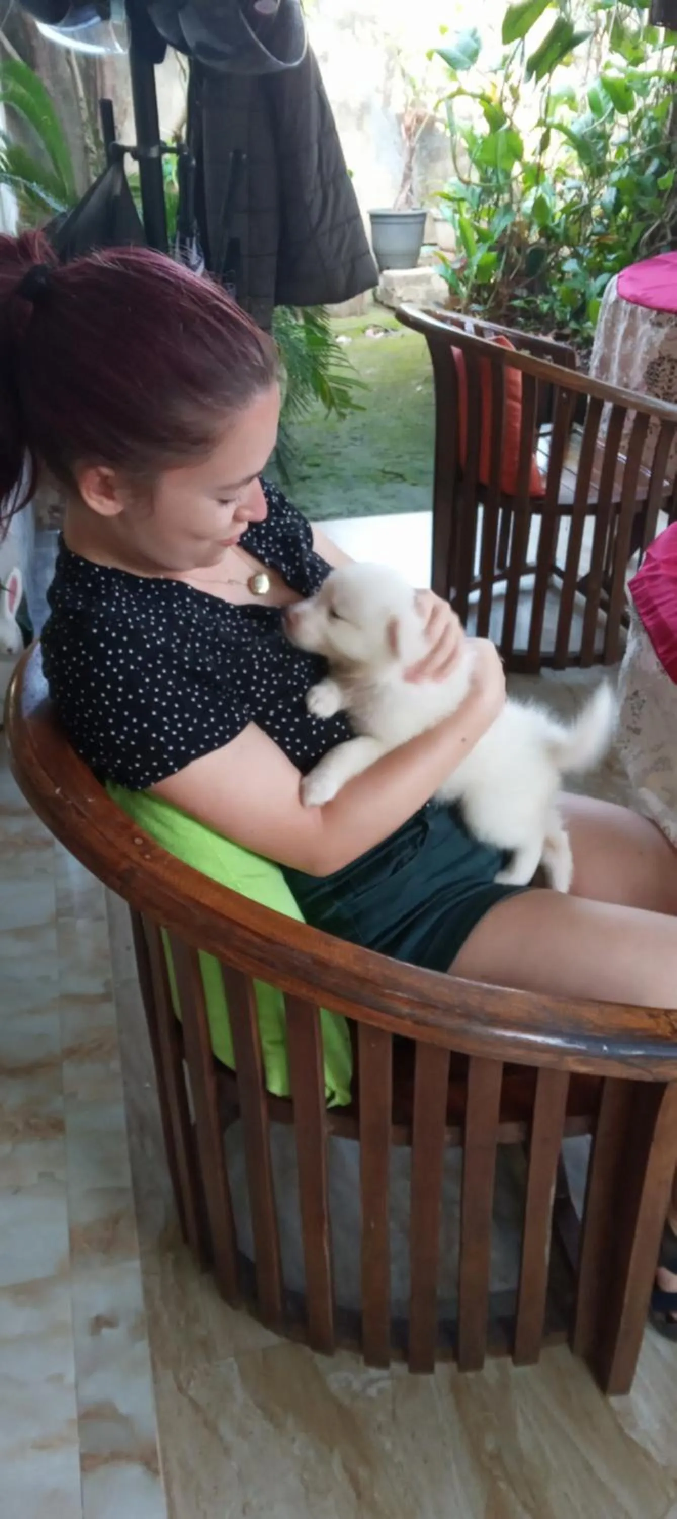 Rock Cascade Tourist Home & Cookery School