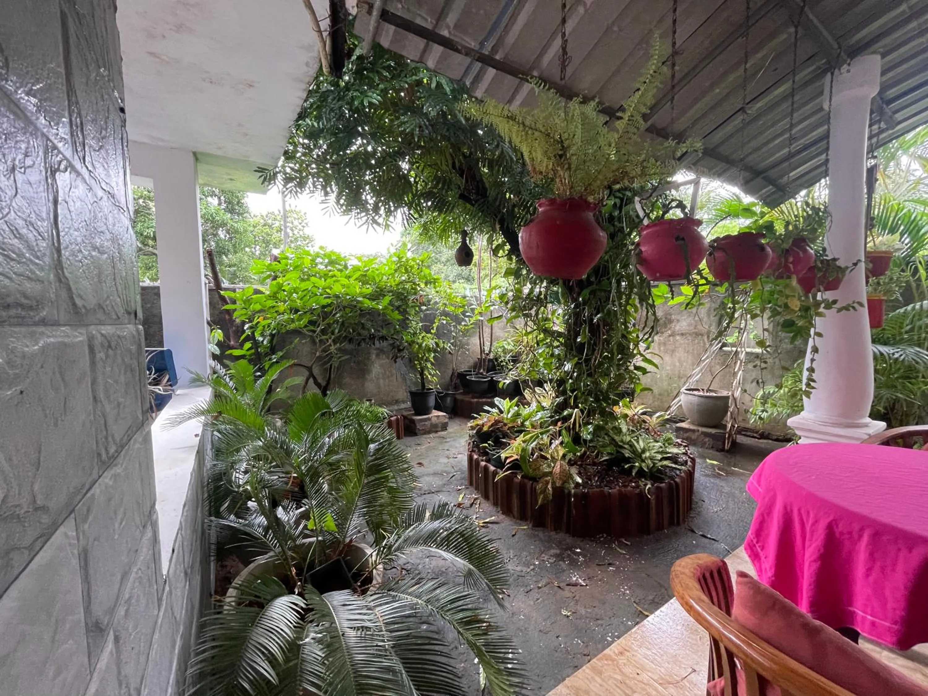 Rock Cascade Tourist Home & Cookery School