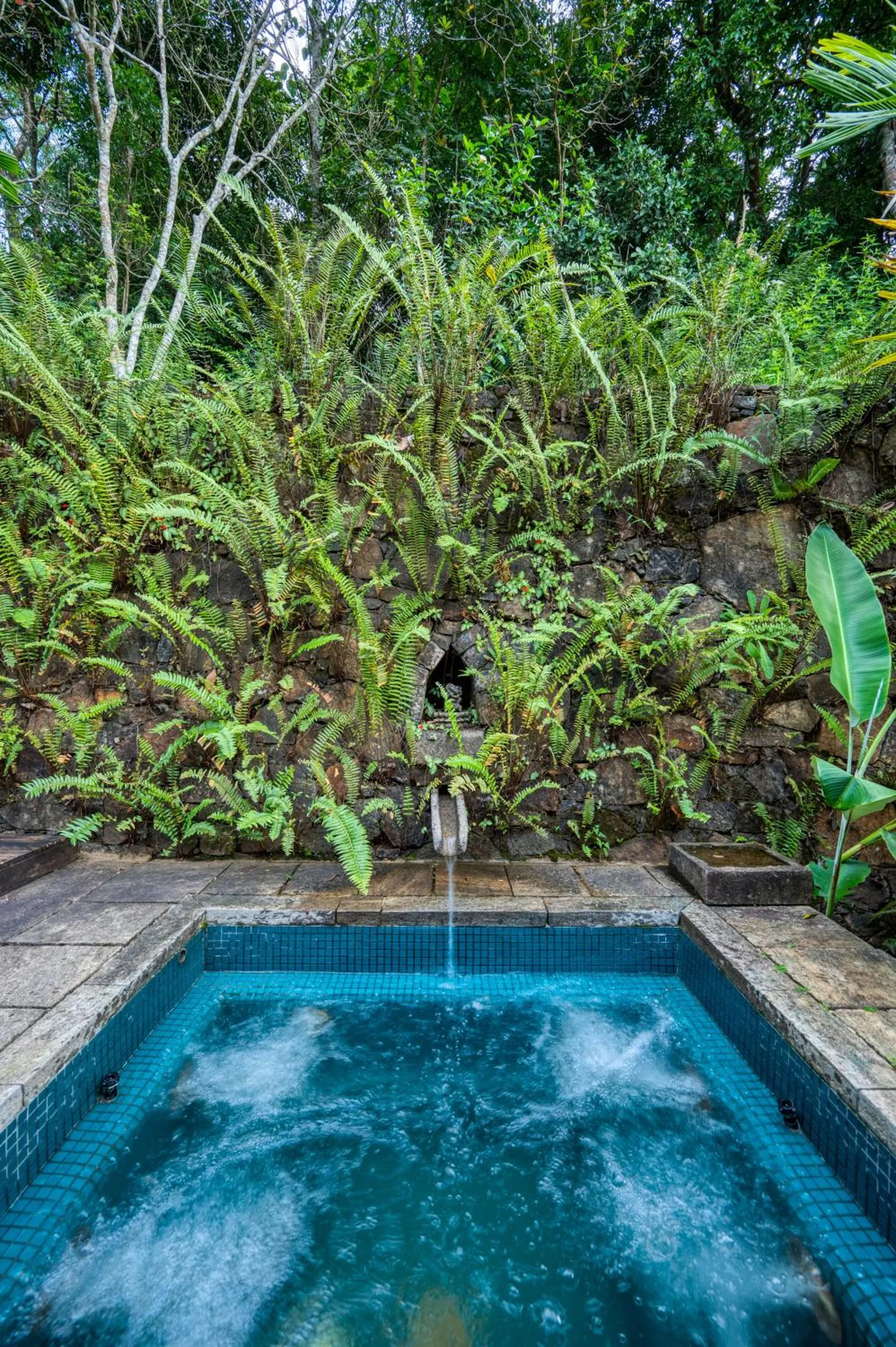 Pool view in Living Heritage Koslanda