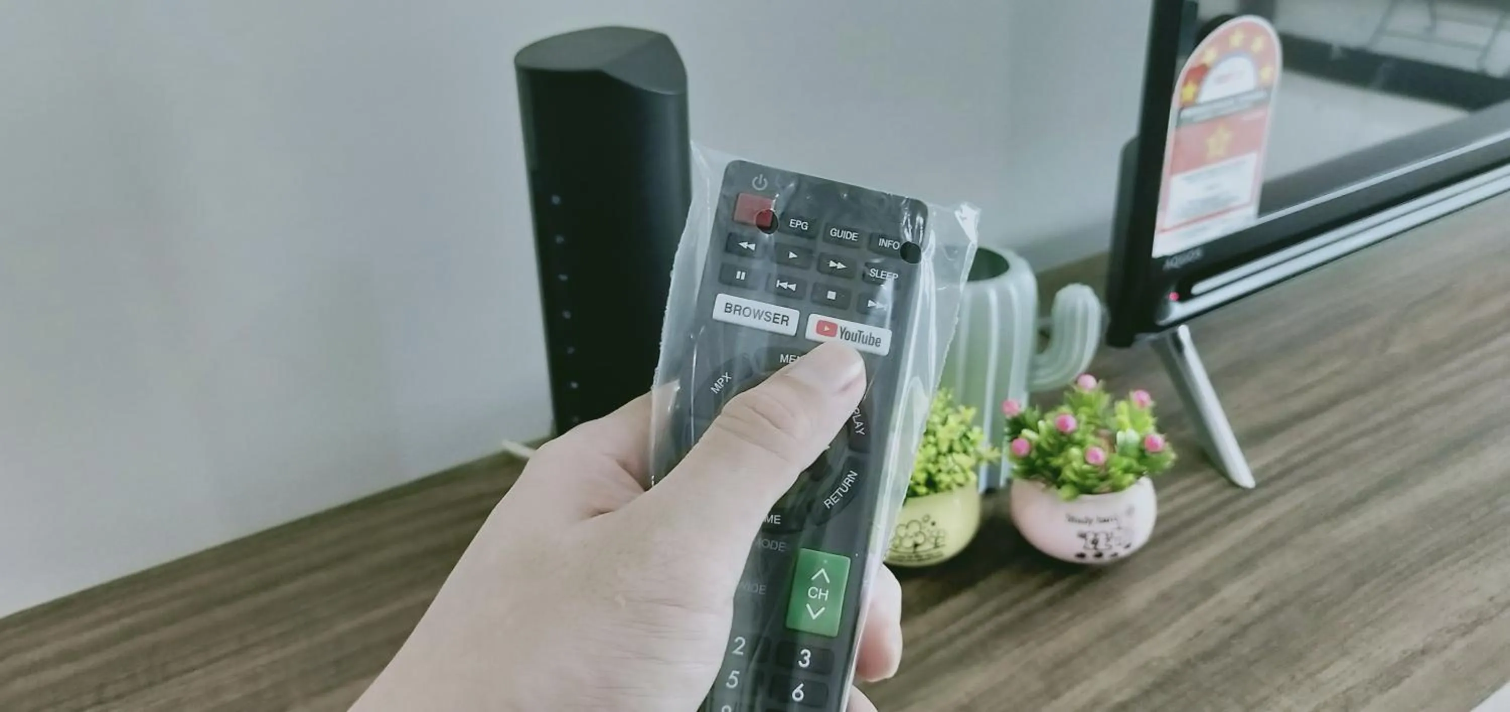 TV and multimedia in ABHOME "JAPAN SUITE" #GreenHaven #Olympic Pool #360"SeaView #JB