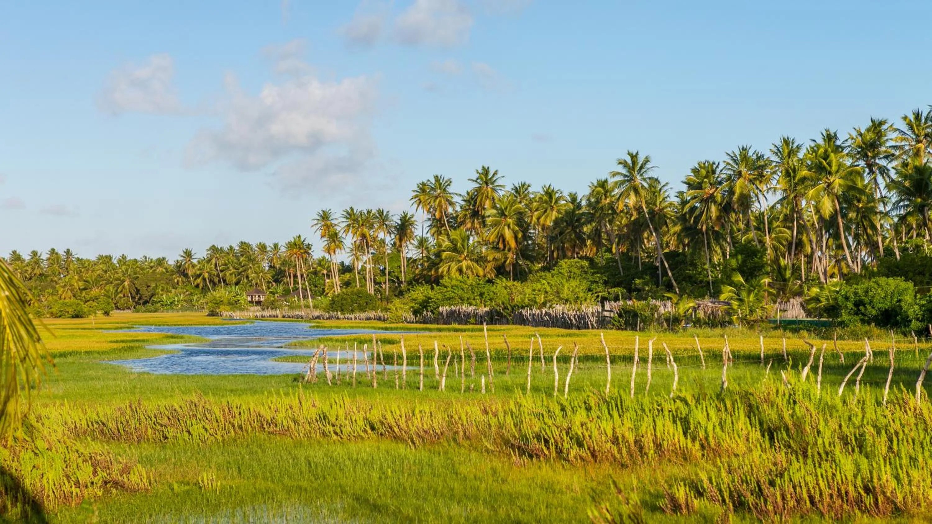 Natural landscape in Vida do Mar