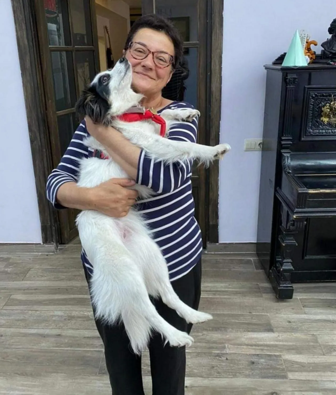 pet friendly in Blur Inn Gallery