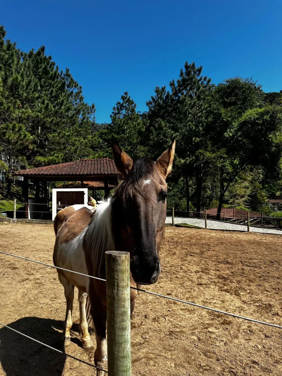 Fazenda Suica Le Canton