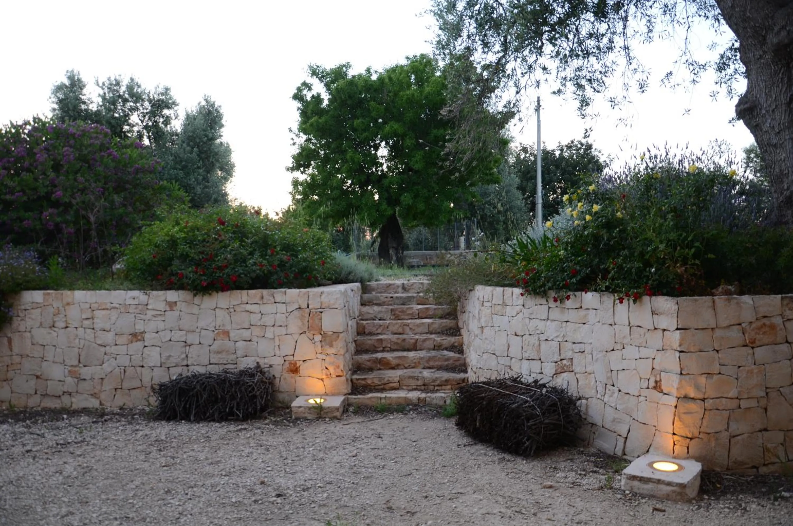 Garden in Agriturismo Tenuta Chianchizza