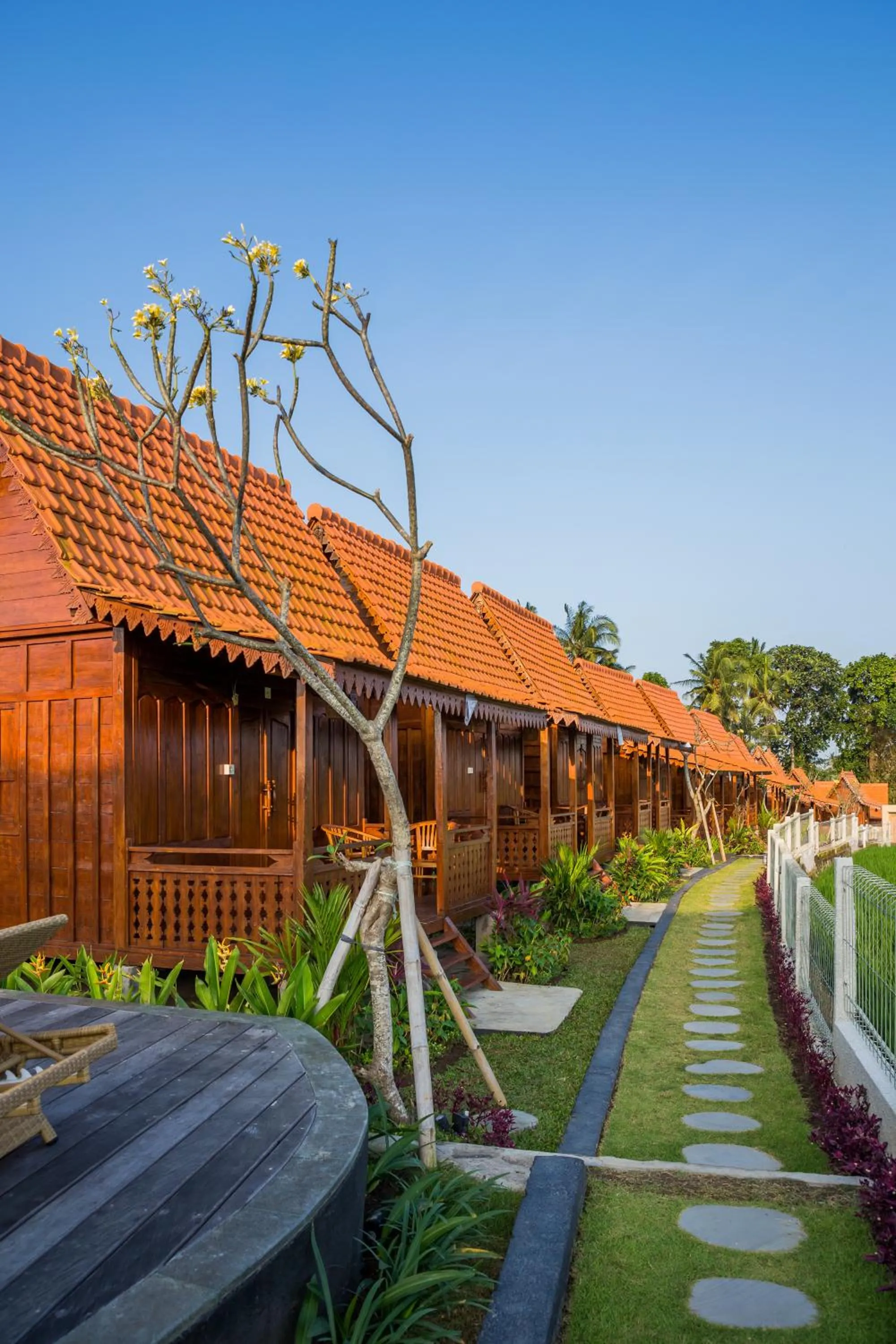 Property building in Victory Munggu