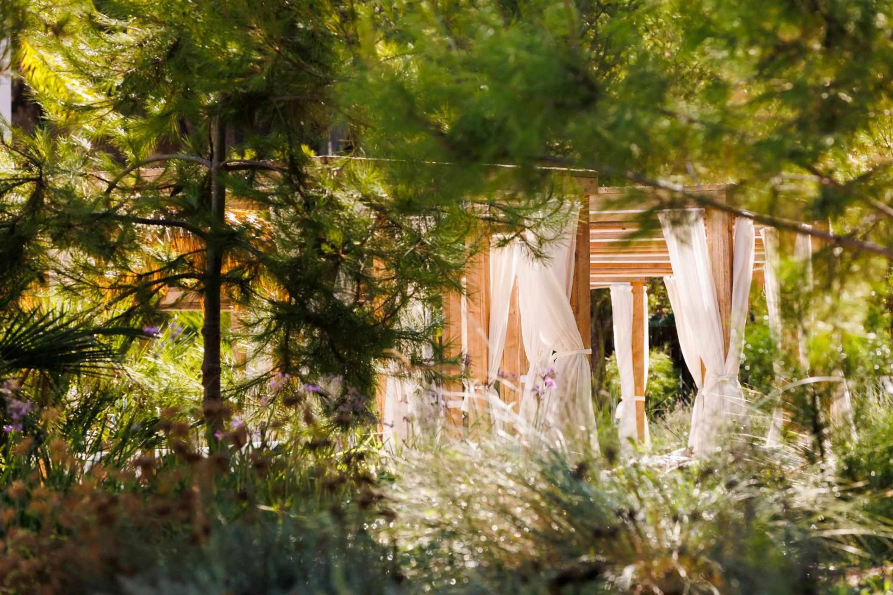 Garden in Hotel Aubamar Suites & Spa