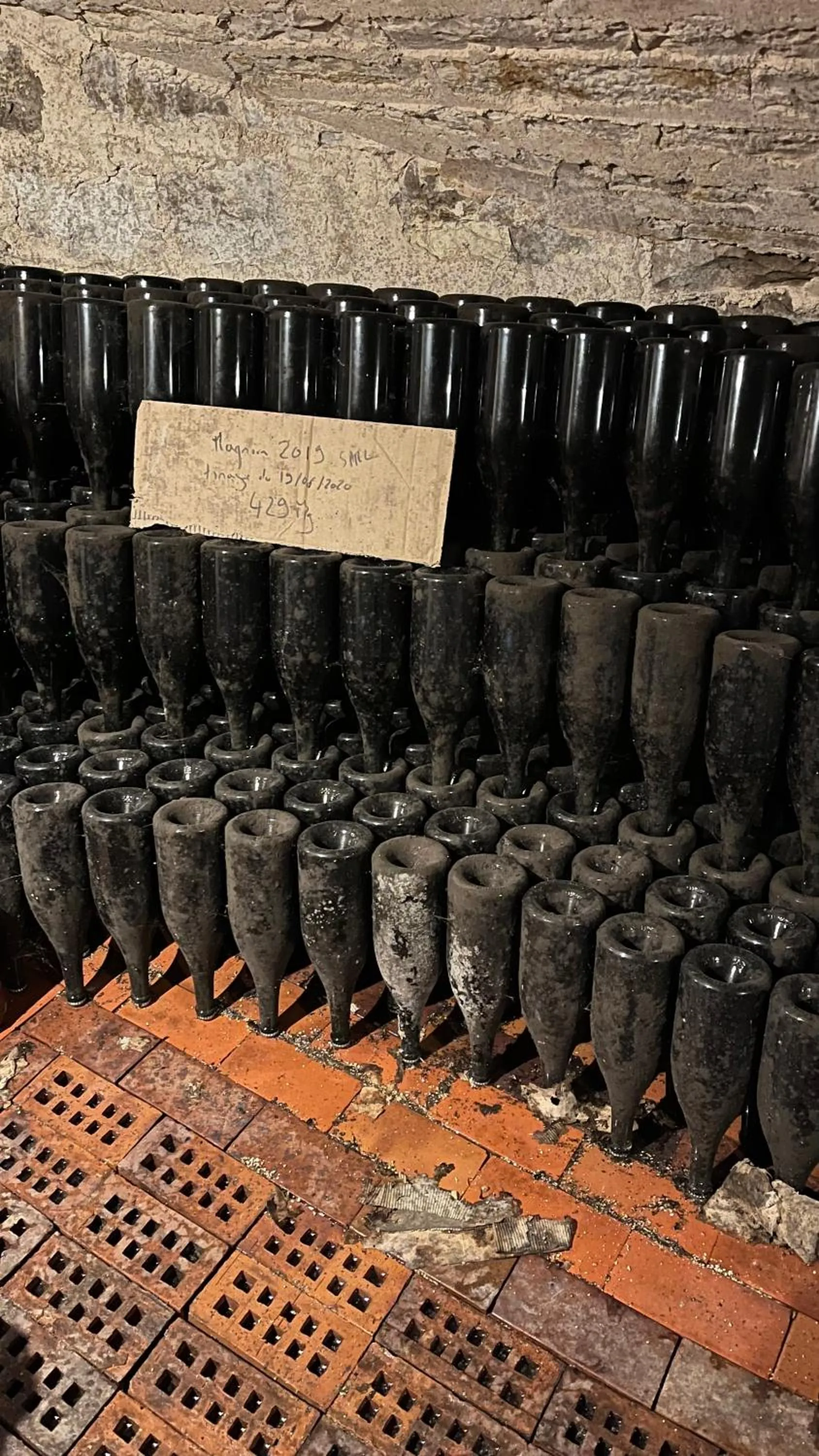 Restaurant/places to eat in Villa Orsini - A Retreat in Pisa - Food and Relax