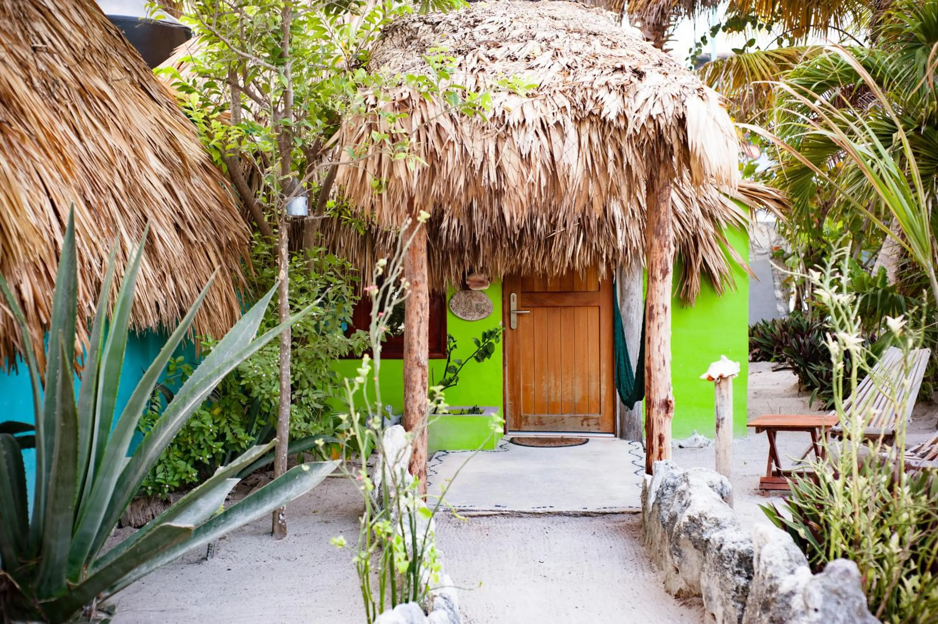 Garden view in Nacional Beach Club & Bungalows